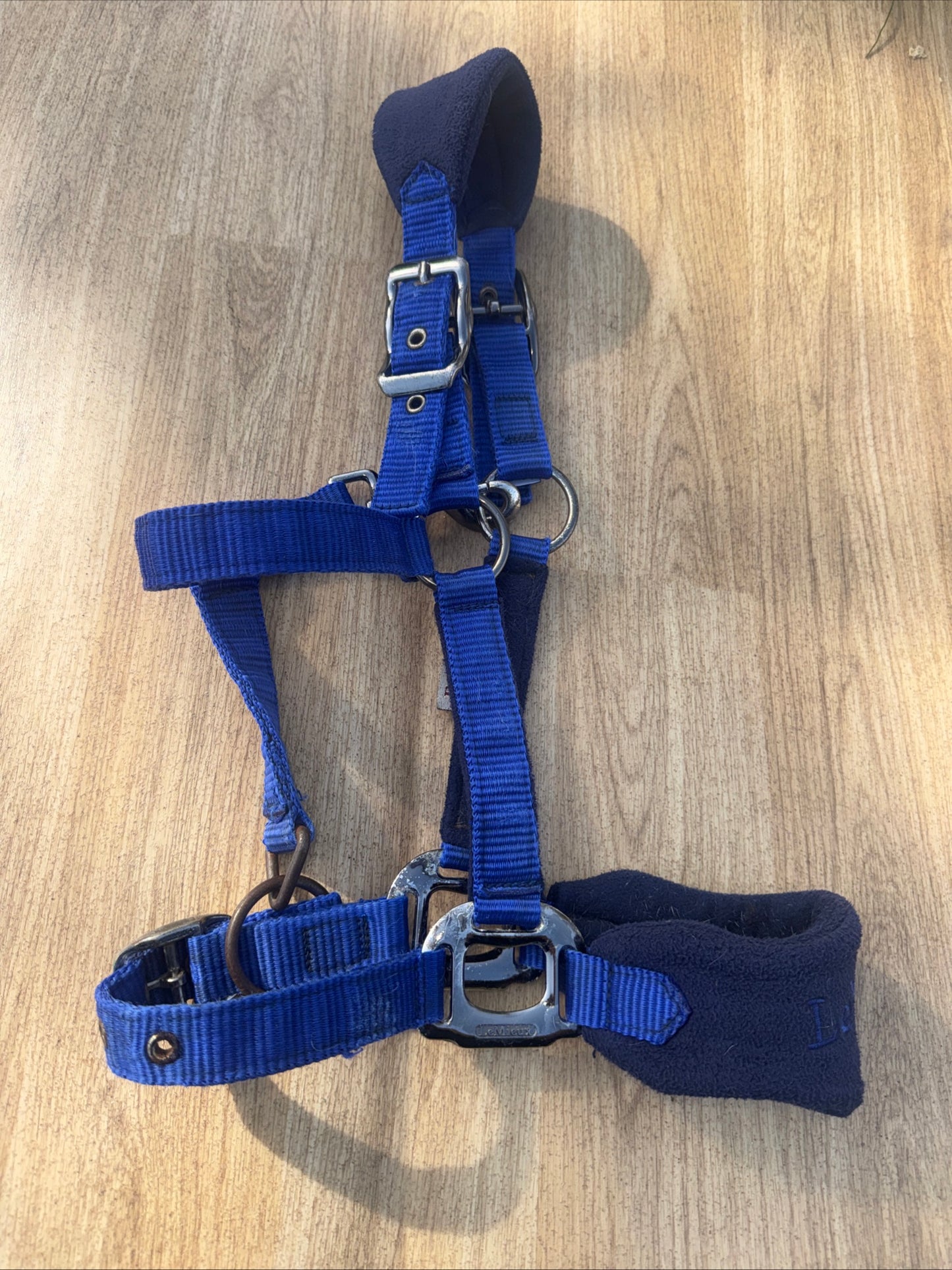 Lemieux Benneton Blue Headcollar | Size Pony