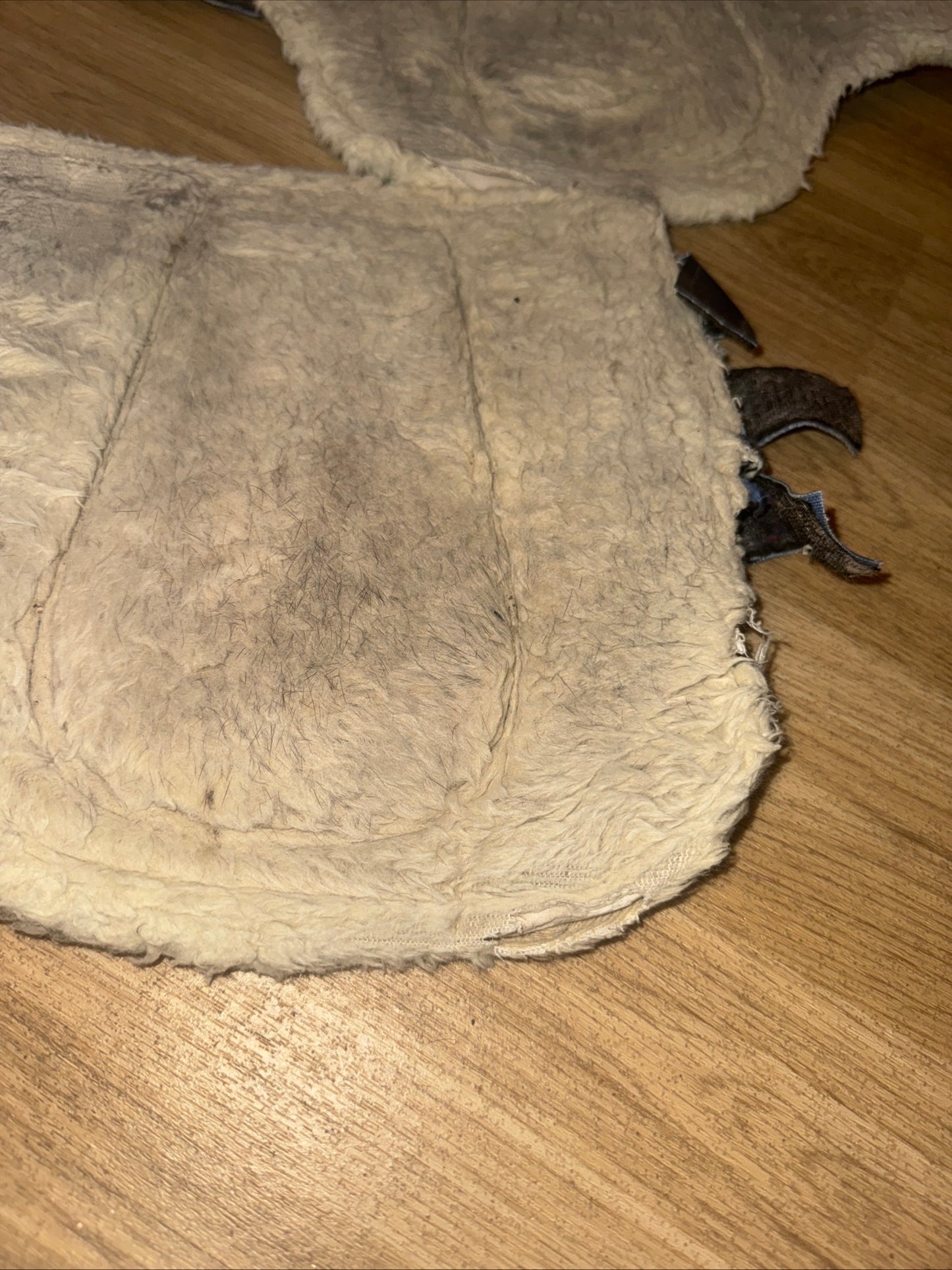 Clarendon Full Size Brushing Boots - FREE POST