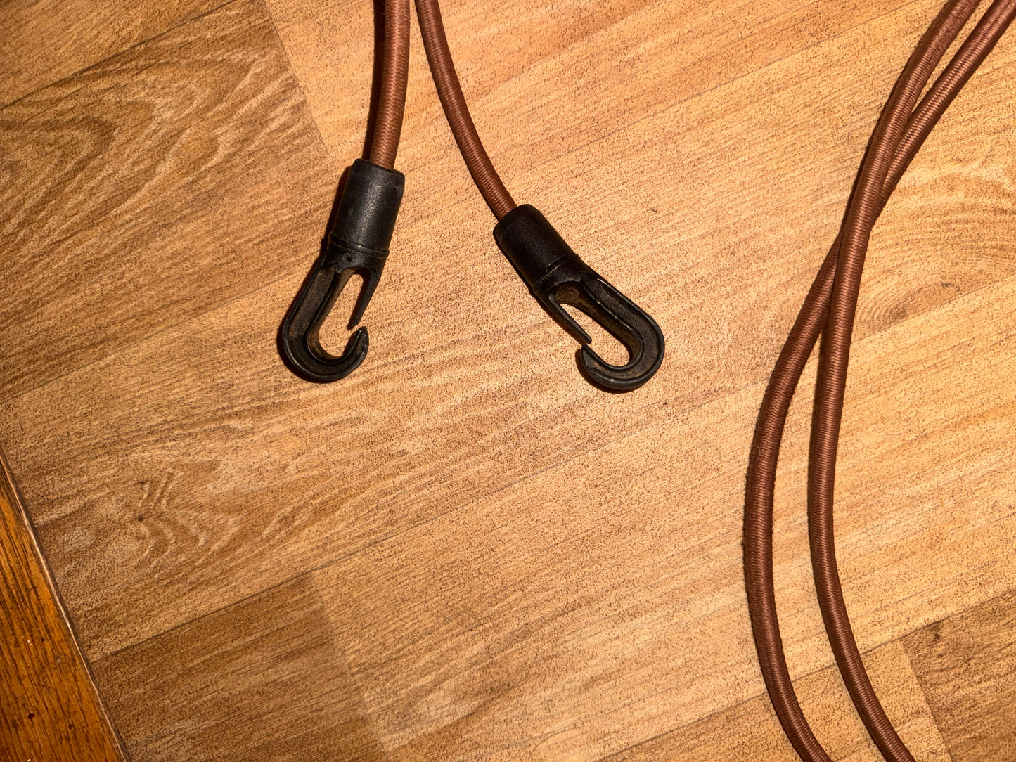 Whitaker Brown Lungee Bungee | Training Aid | Lunging