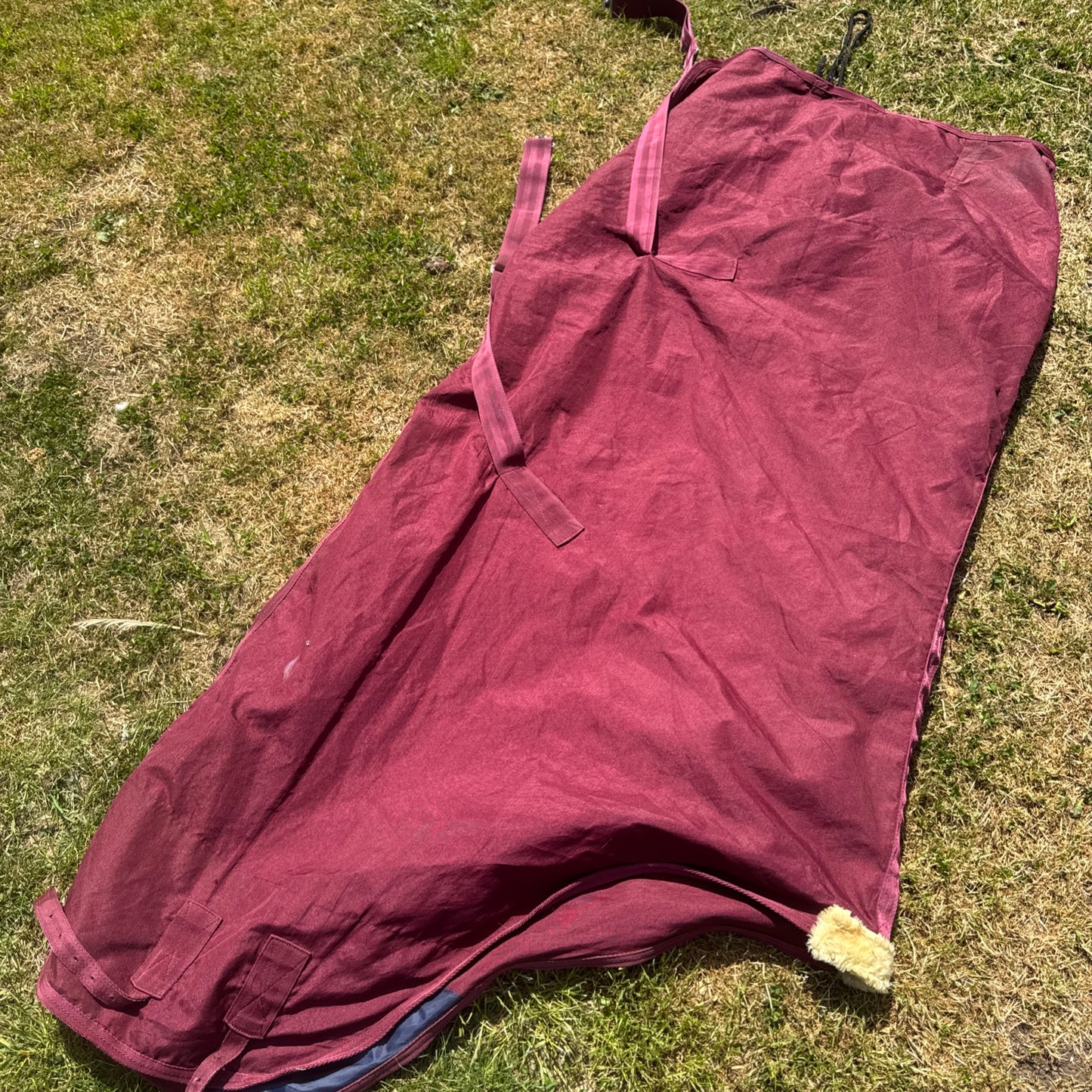 Burgandy 6’6 Stable Sheet - Travel Rug