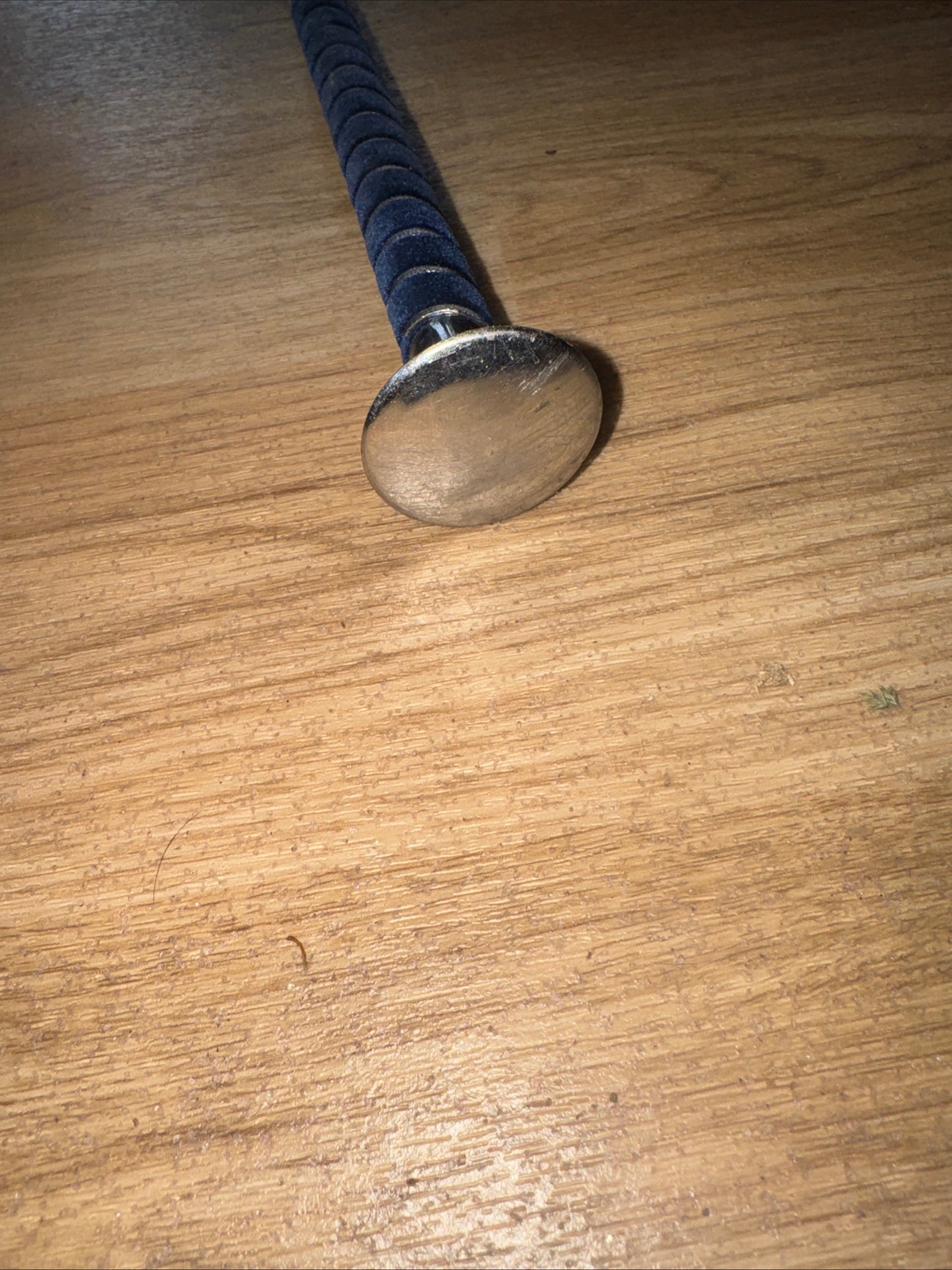 Silver Coloured Handy Hand Whip | Second Hand Horse Pony Tack #101