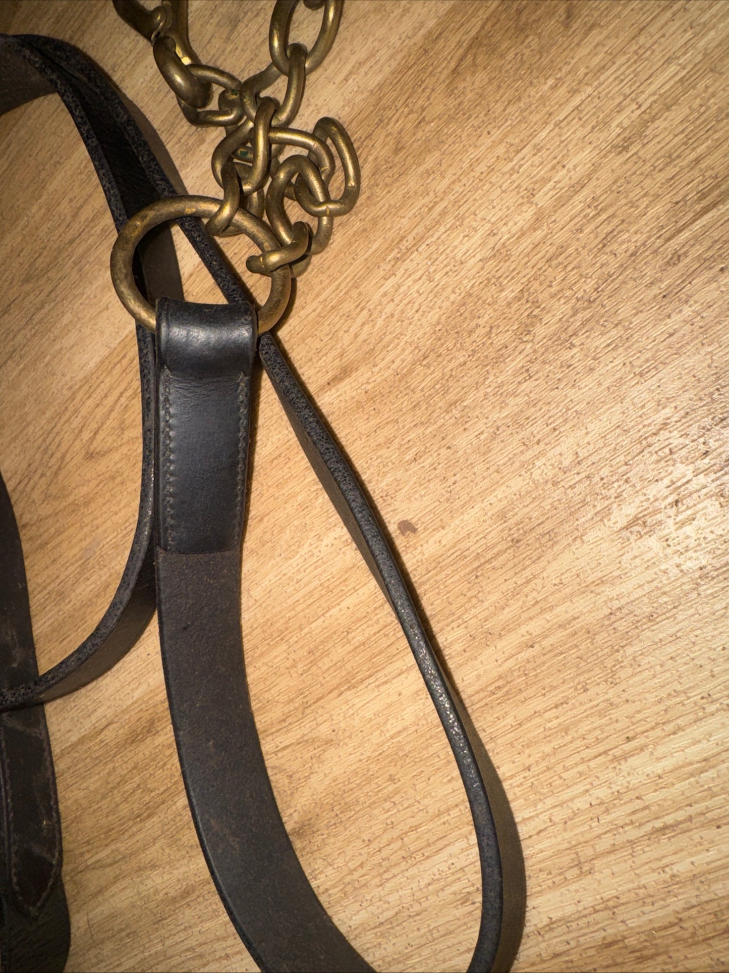 English Leather Black Inhand Showing Lead And Coupling #1 Show Horse Cob