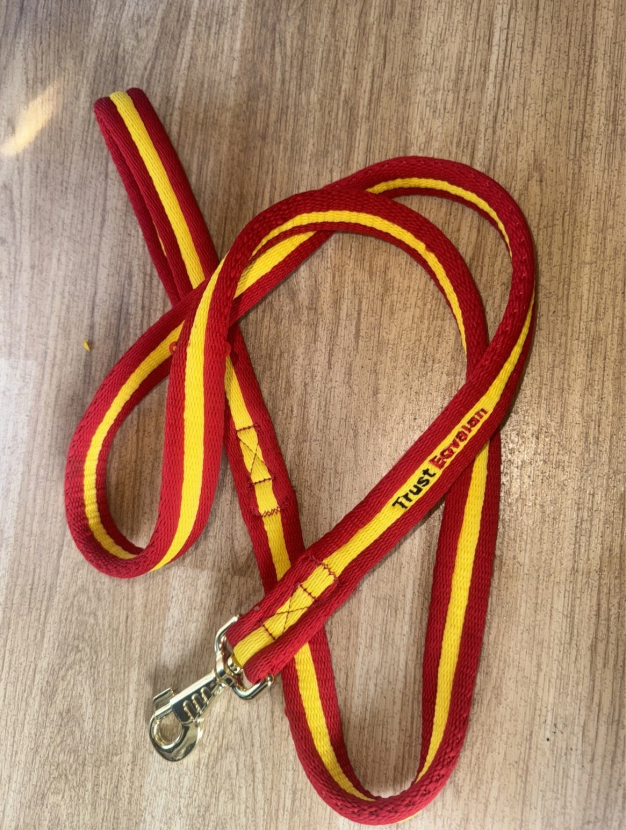 Red Yellow Equine Flat Lead Rope Or Dog Lead 1.2m - SOFT TOUCH