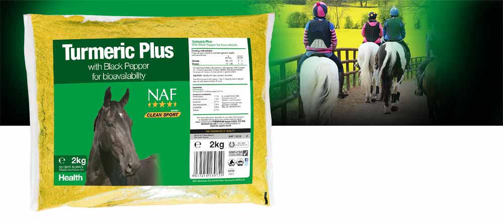 Naf Turmeric Plus