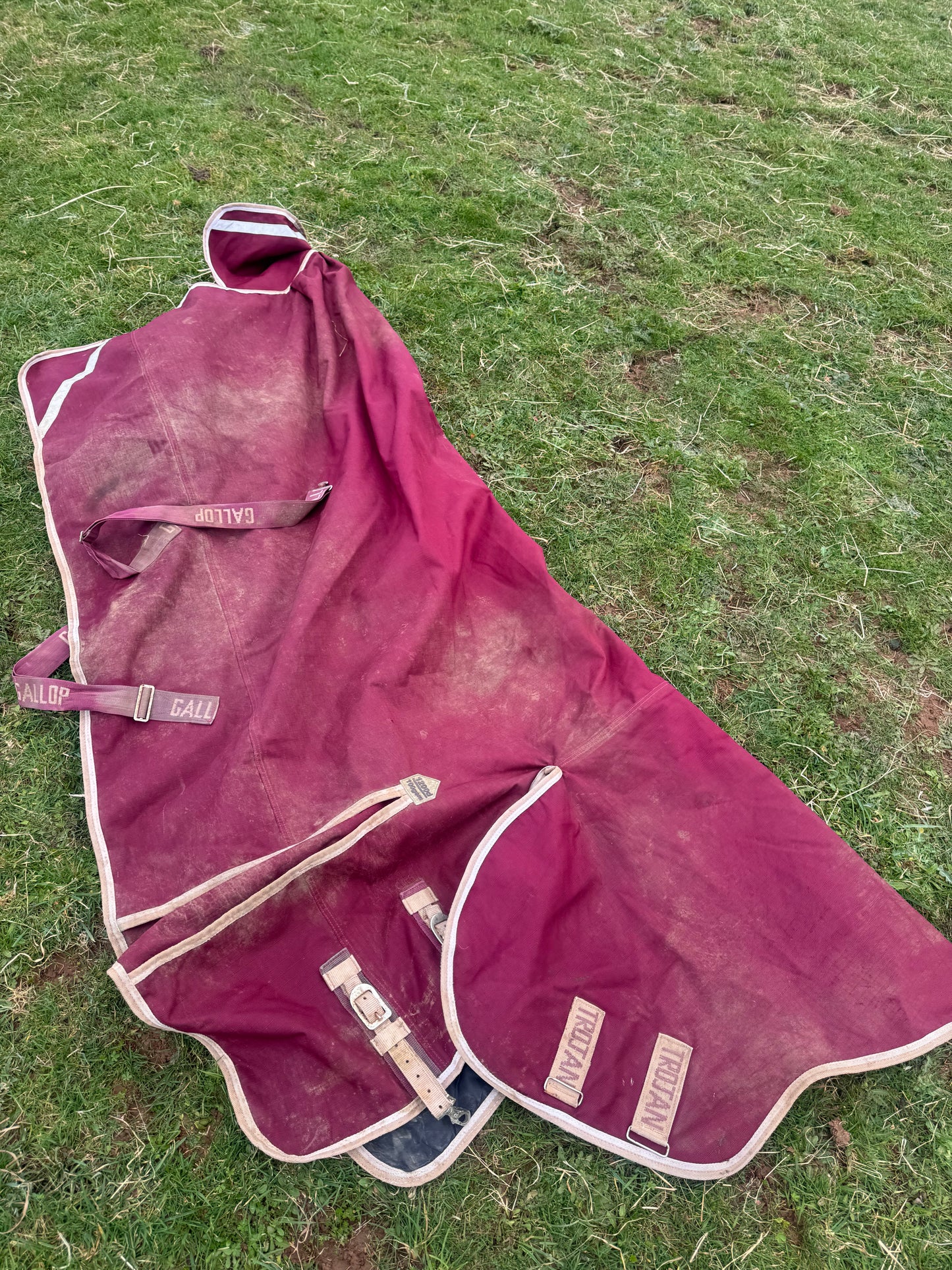 Gallop Trojan 100gm 6’0 Turnout Rug