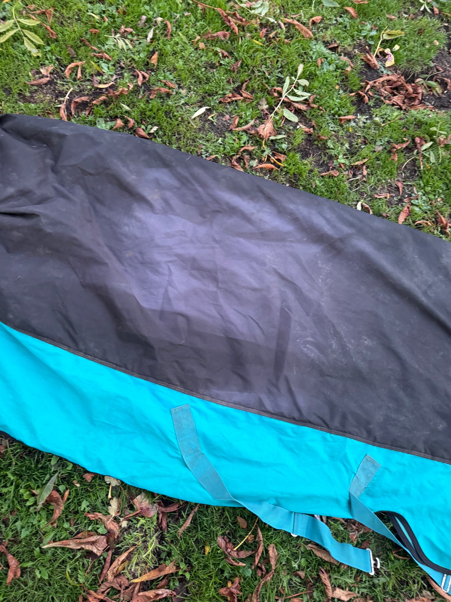 Amigo 6’3 200gm Turnout Rug