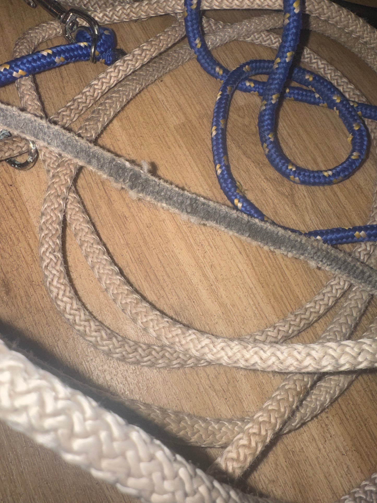 Genuine Passoa Training Aid | Second Hand Tack Horse Pony Lunging