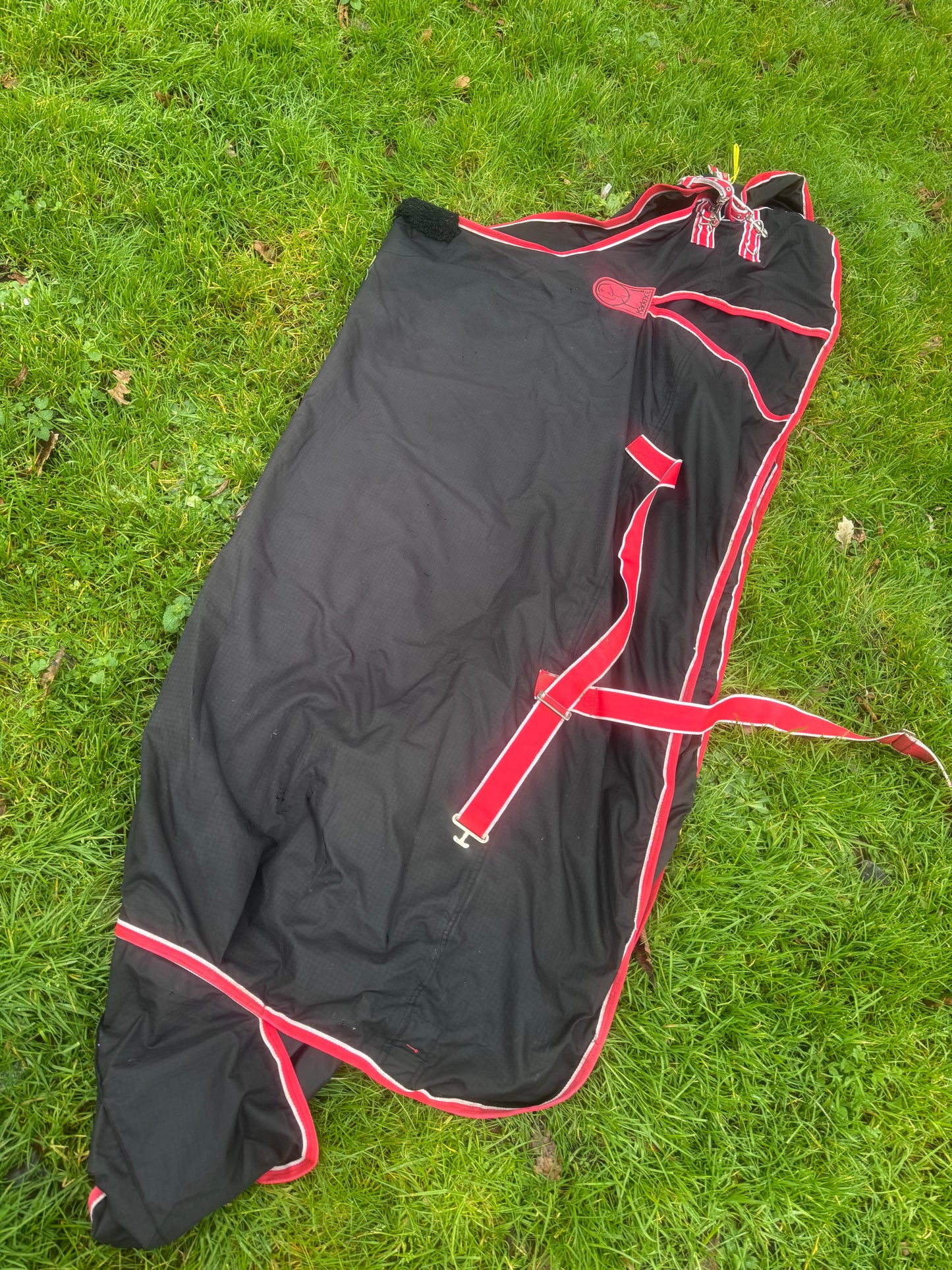 Kadence 6ft No Fill Turnout Rug