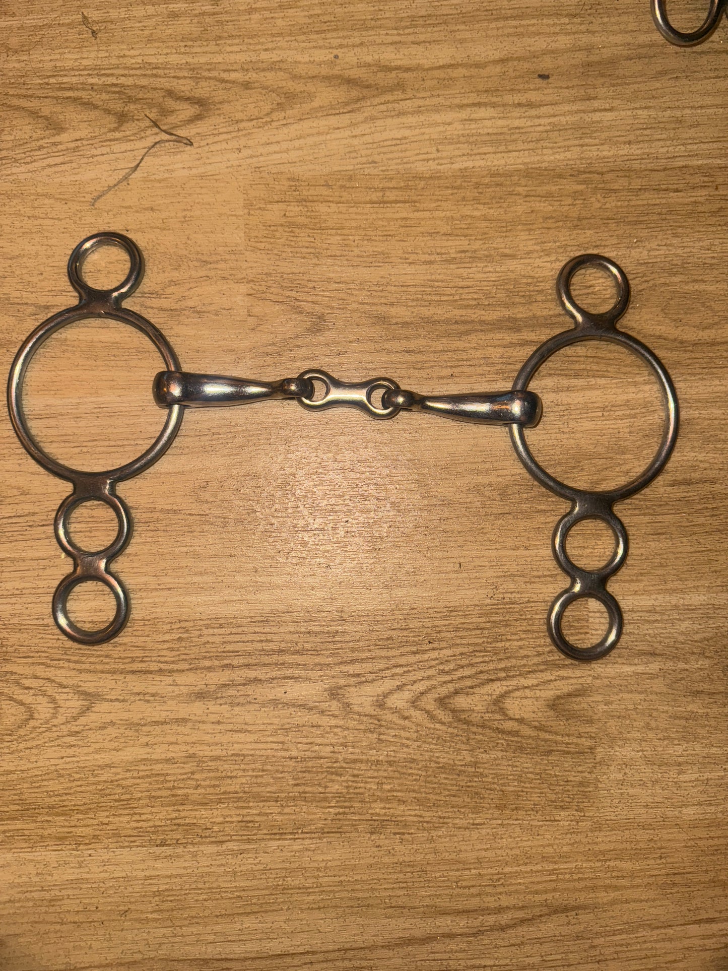 Fylde 5.5” Dutch Gag