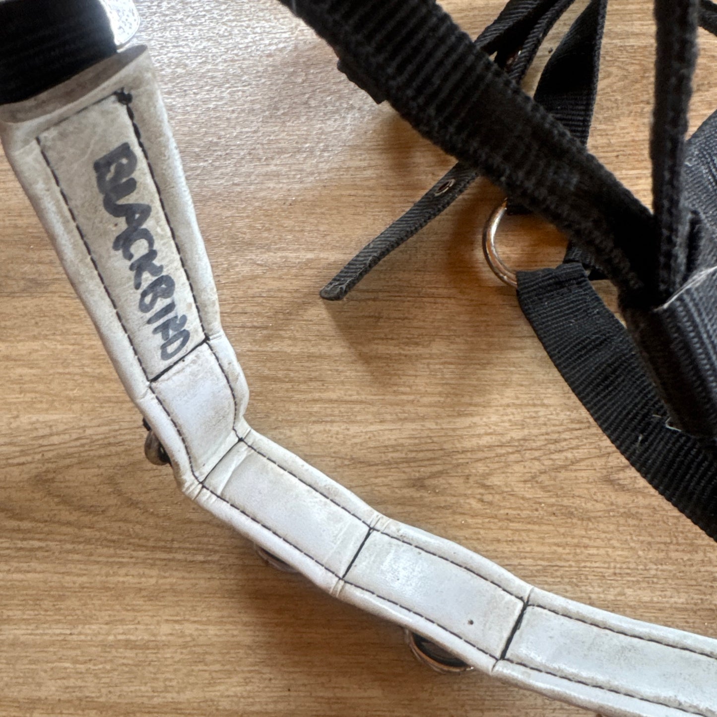 Kincade Size Full Lunging Cavason | Second Hand Horse Tack #33