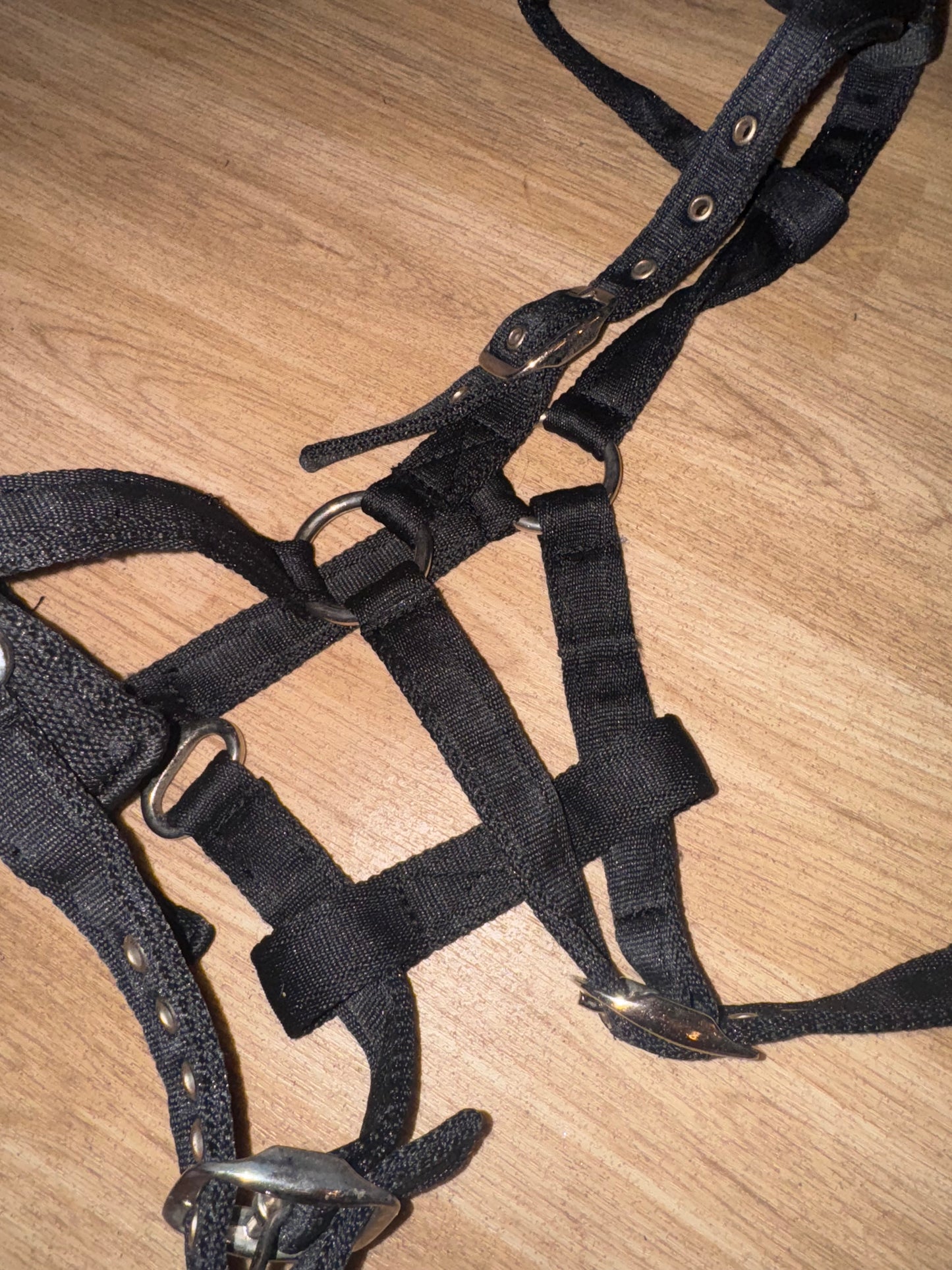 Cob Soft Web Lunging Cavesson - Free Post