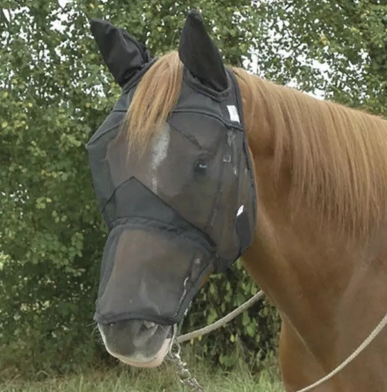 Sheldon Fly Mask .