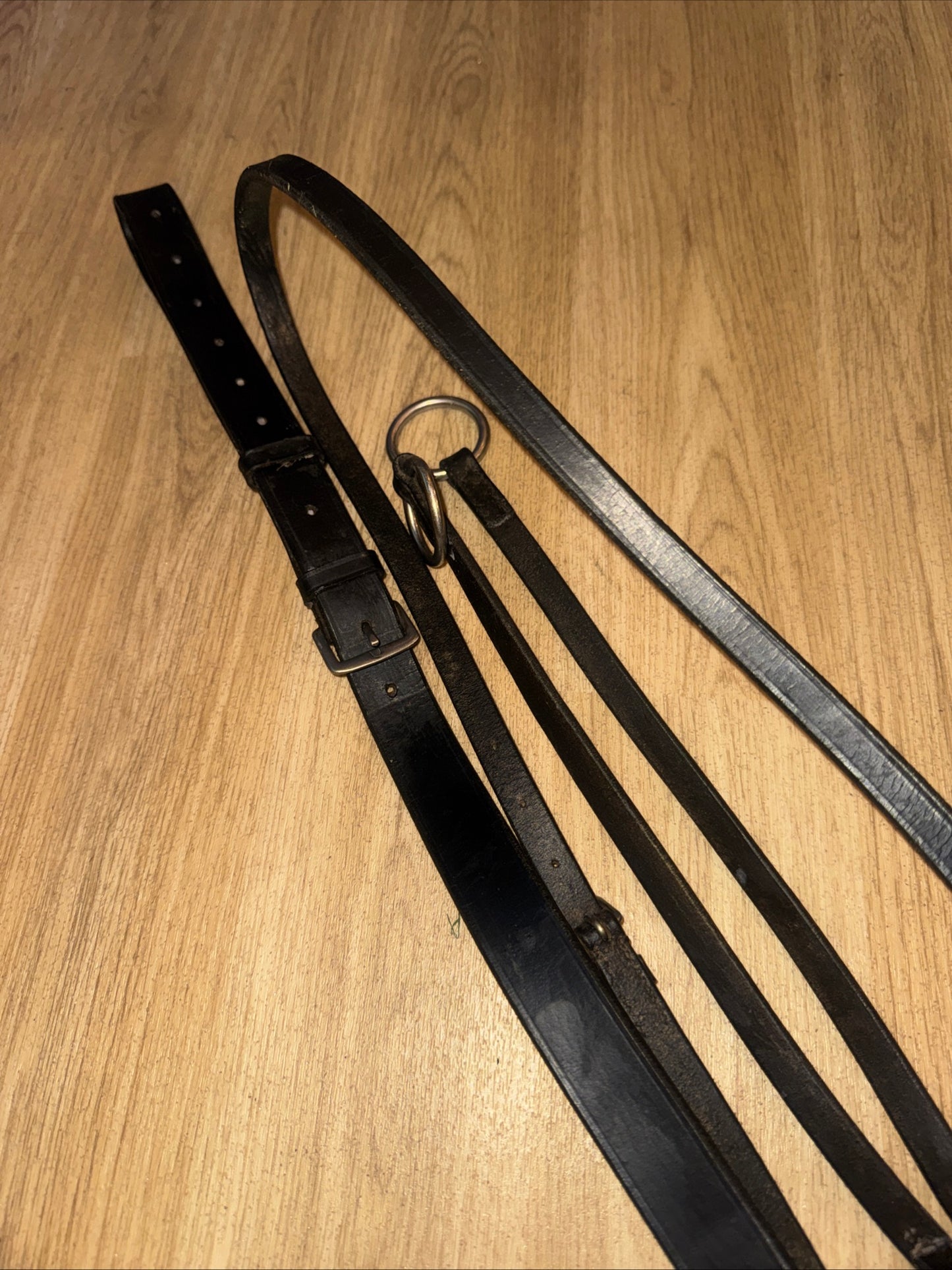 Ascot Cob Size Running Martingale Leather Black #22 Second Hand Horse Tack