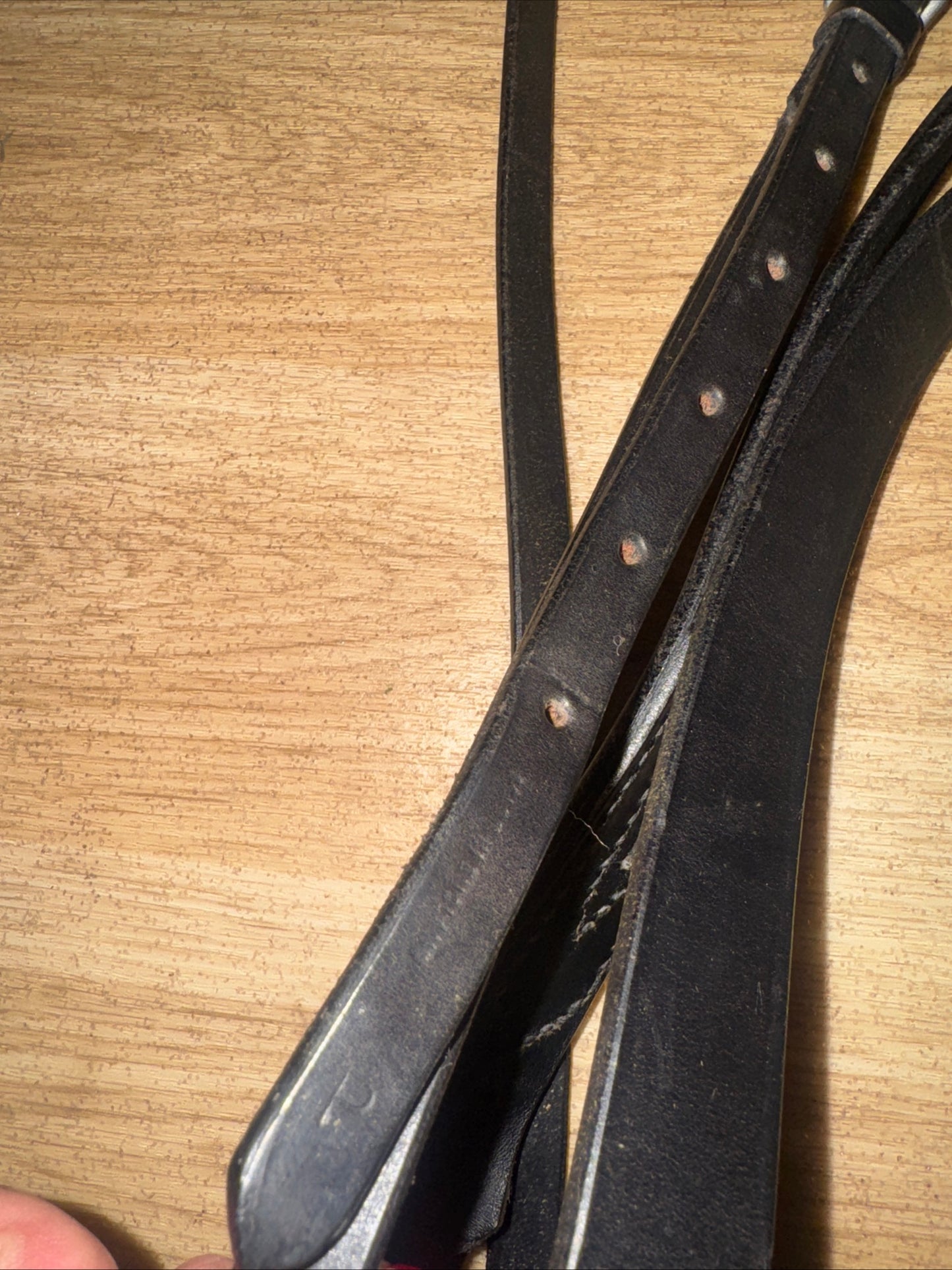 English Leather Pony Size Running Martingale #36