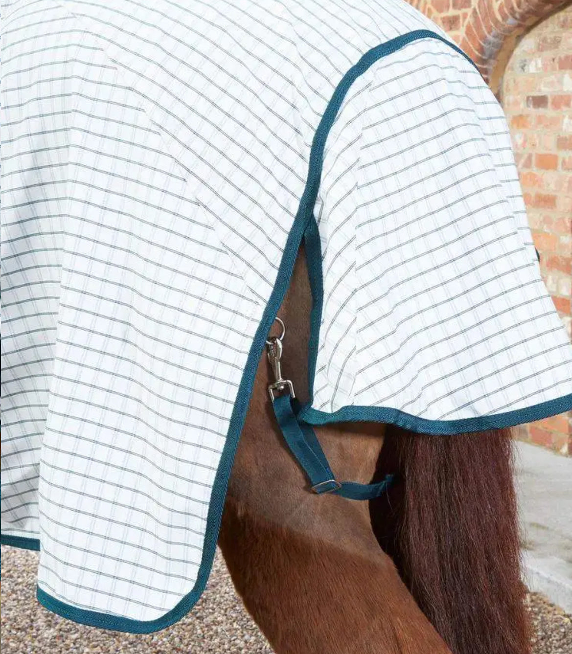 Premier Equine Cotton Stable Sheet - 5’6