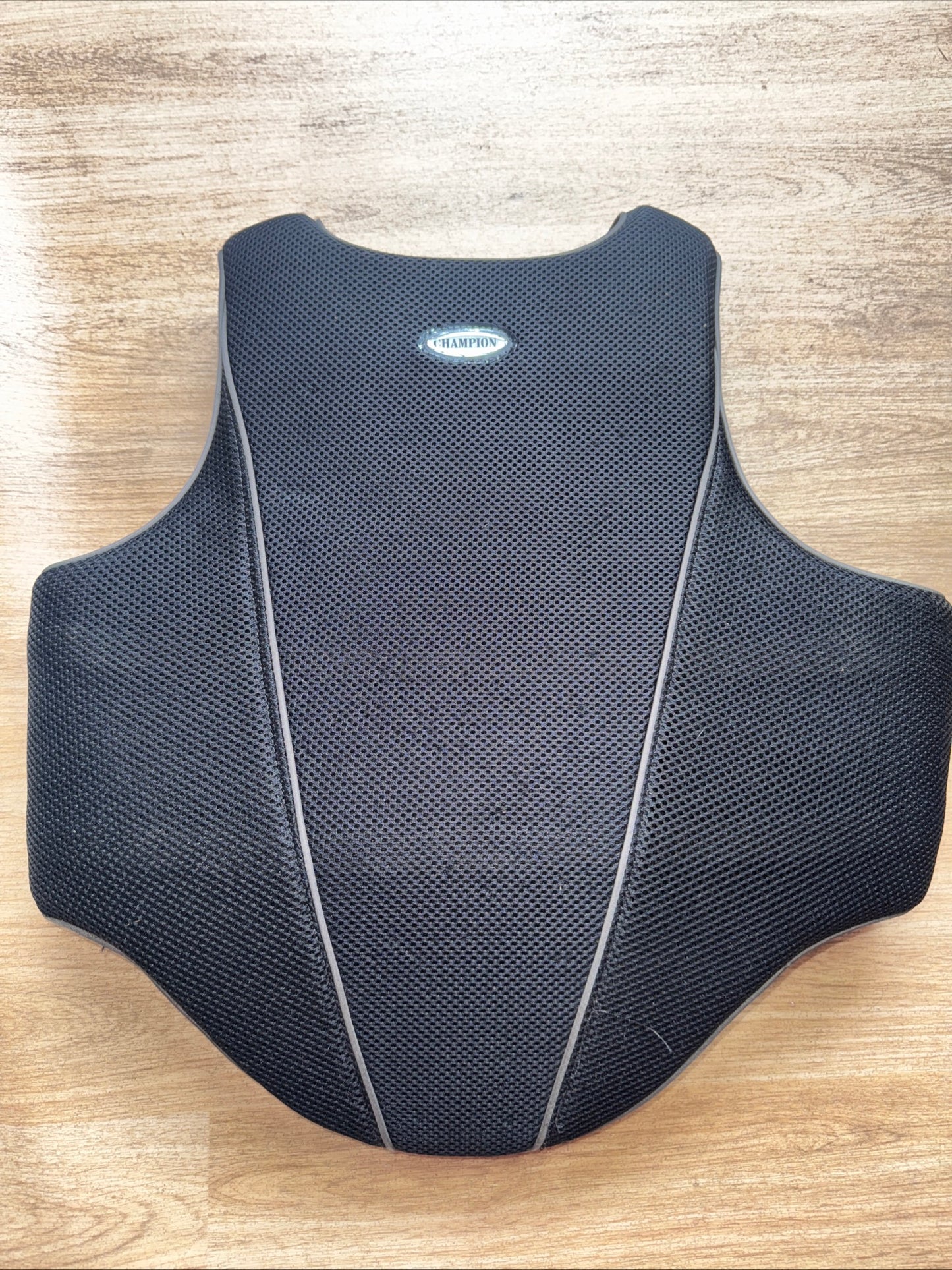 Champion Childs Size Large Body Protector #1