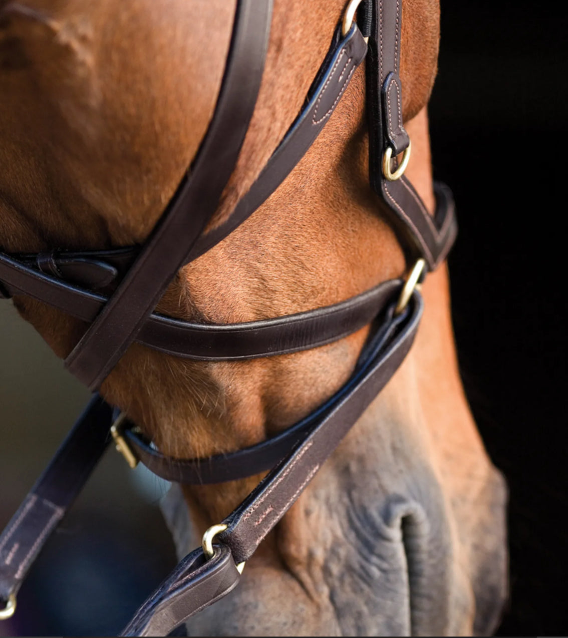 Horseware Rambo Micklem Multi Bridle - Black