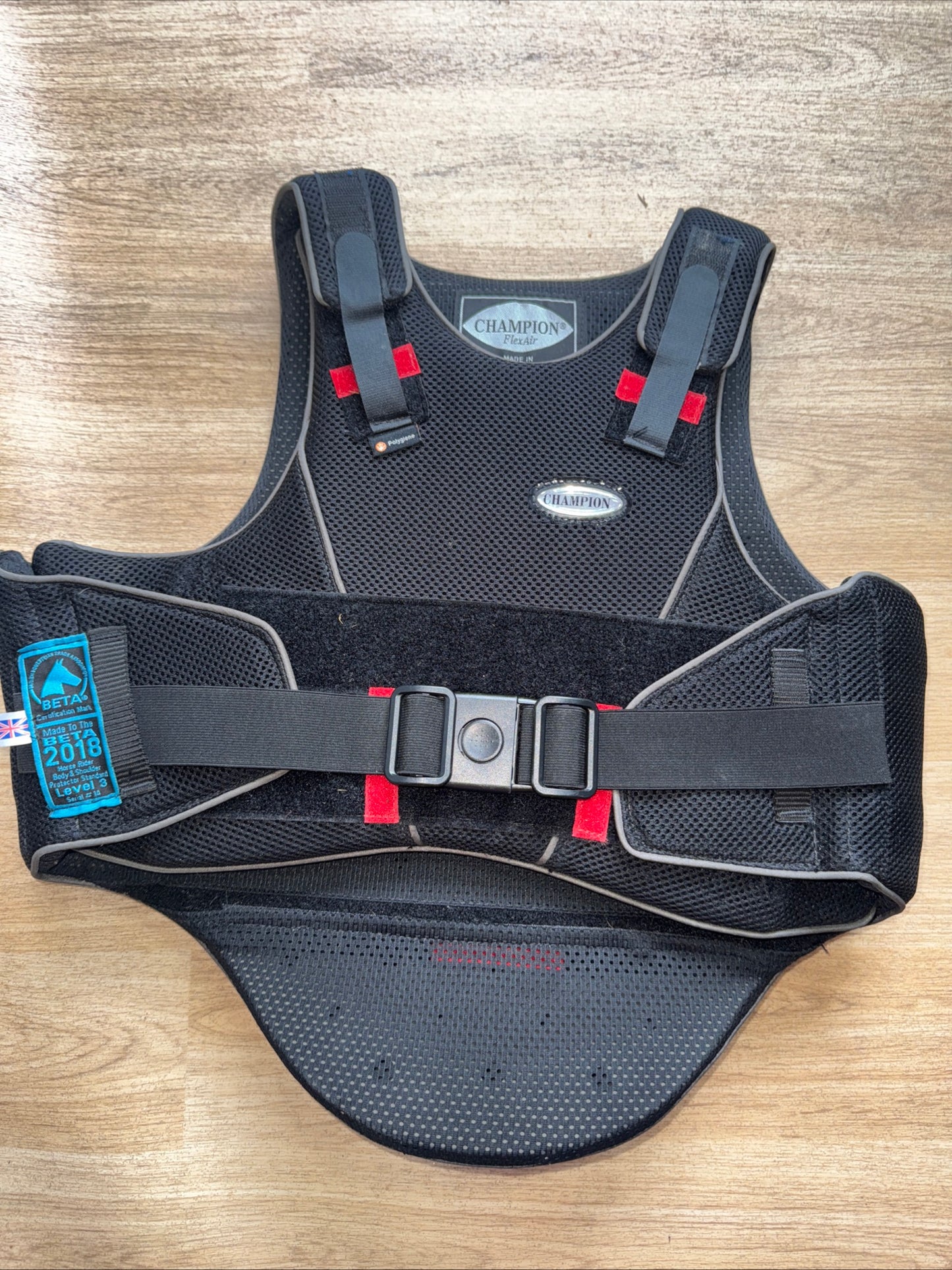 Champion Childs Size Large Body Protector #1