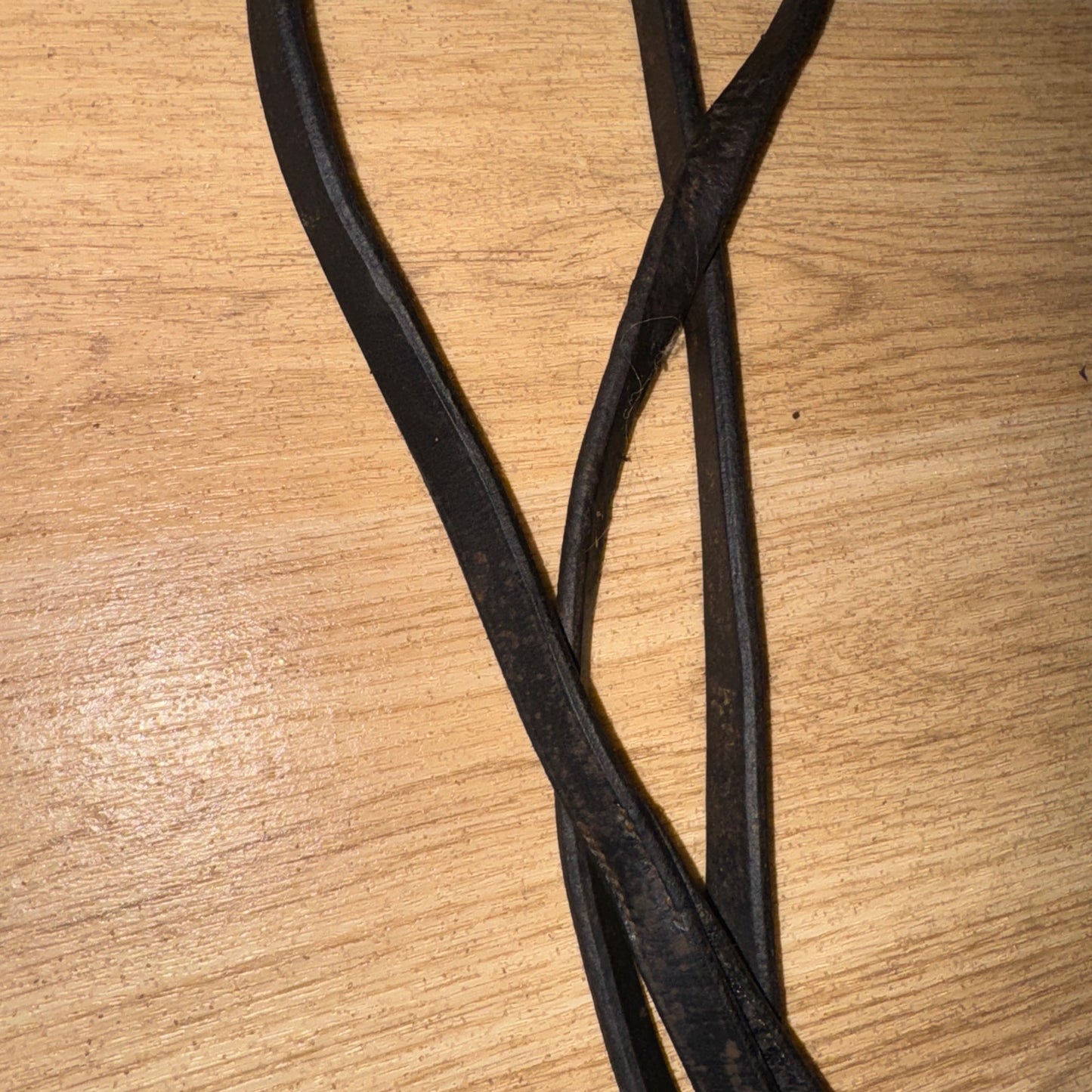 English Leather Fine Inhand Show Lead #7
