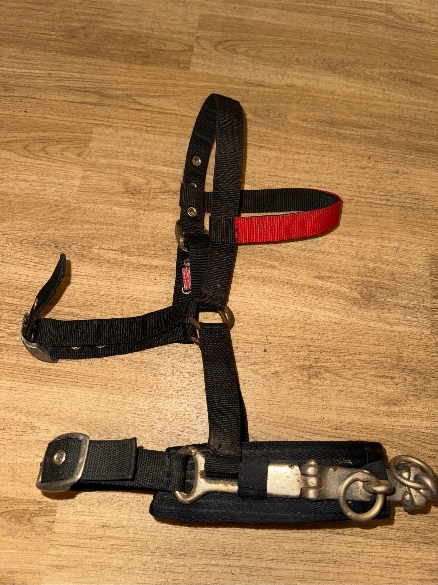 Eclipse Pony Lunging Cavesson Training Aid Second Hand Horse Tack #1