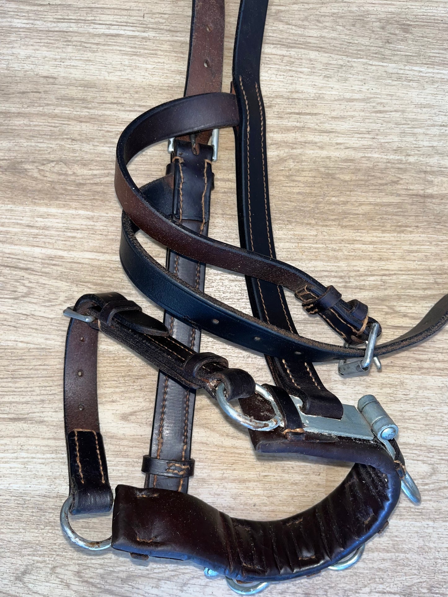 Leather Cavesson Full