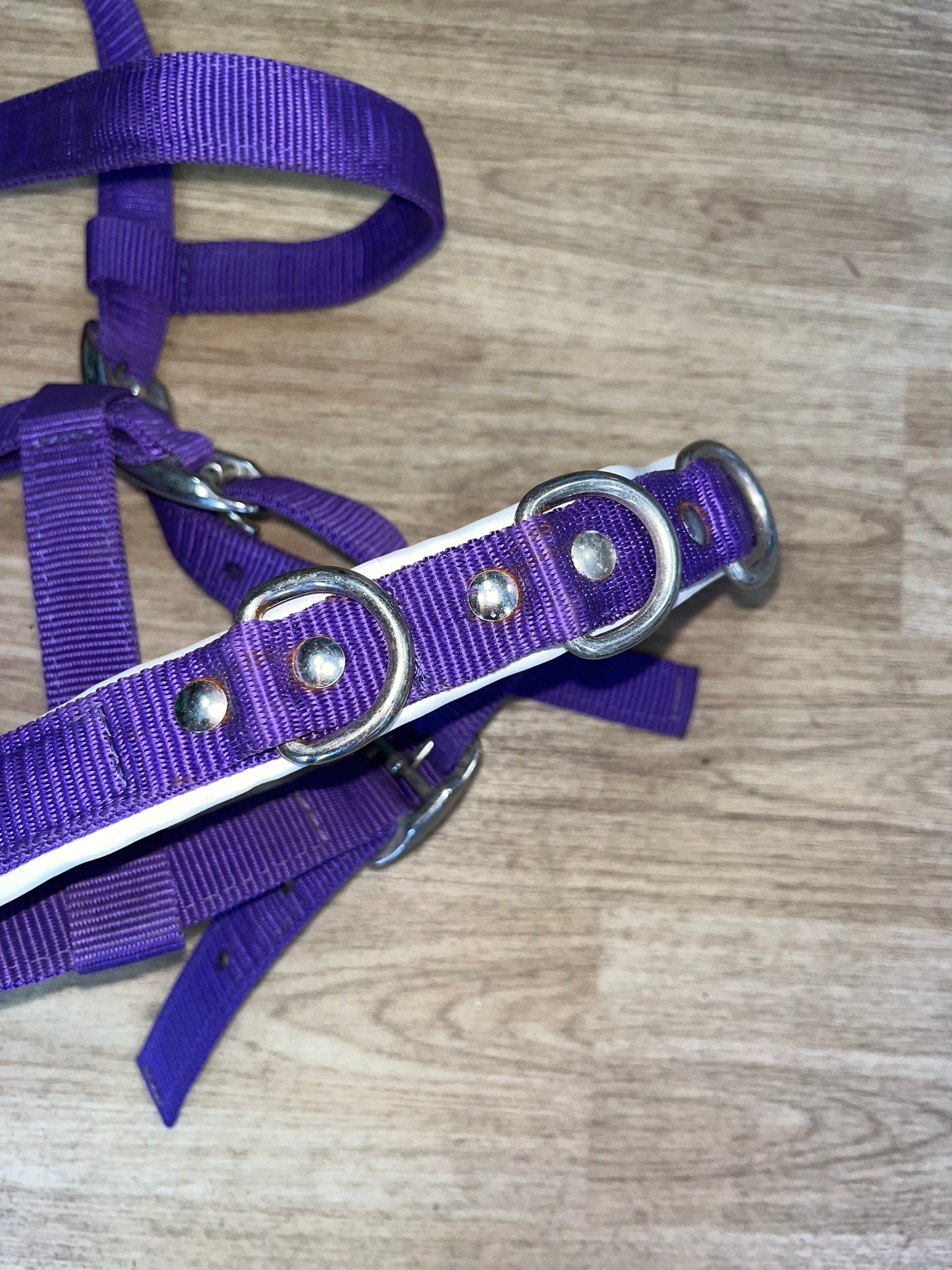 Kincade Cavesson Nylon Full
