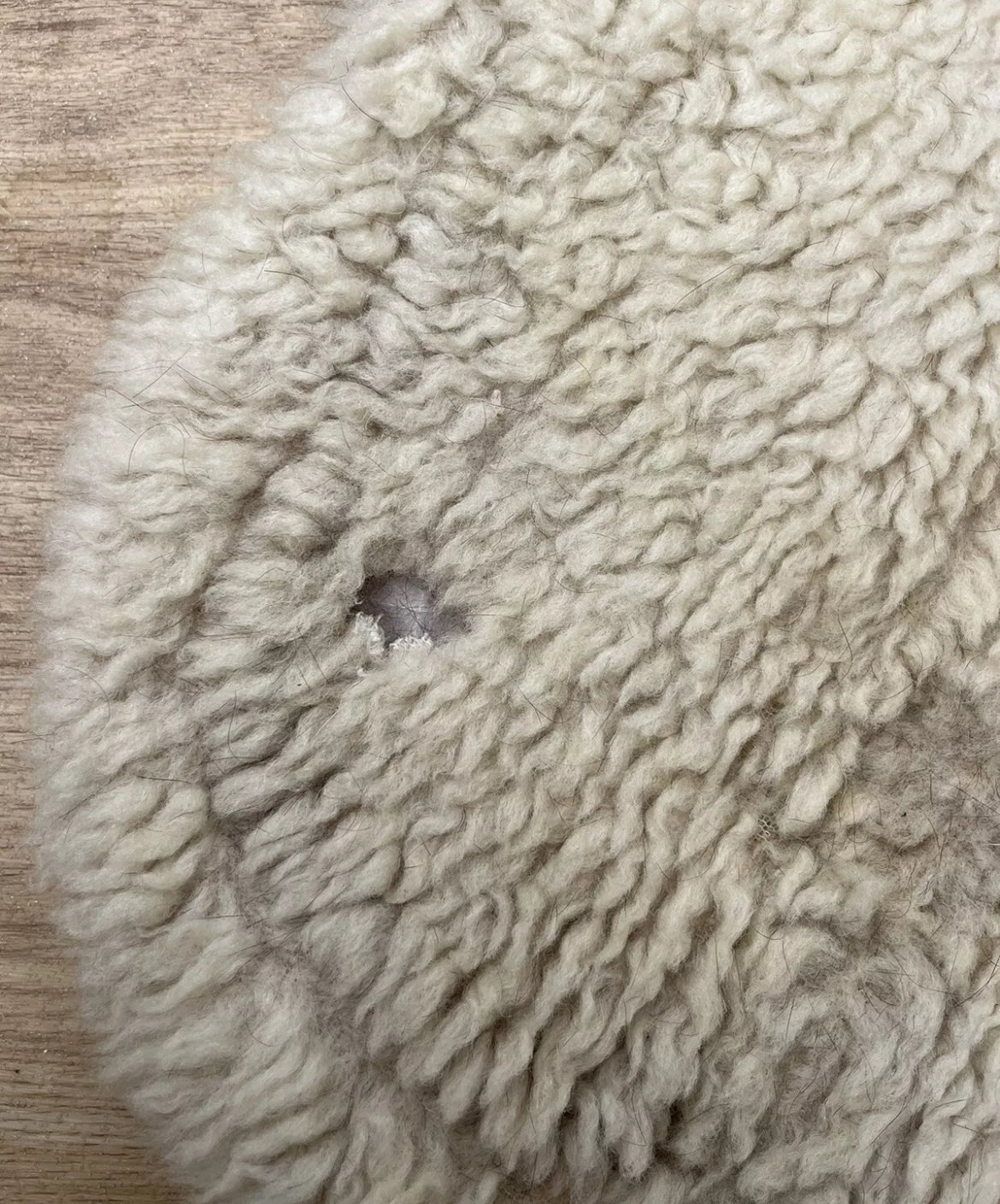 White Size - Cob Pure Wool Numnah