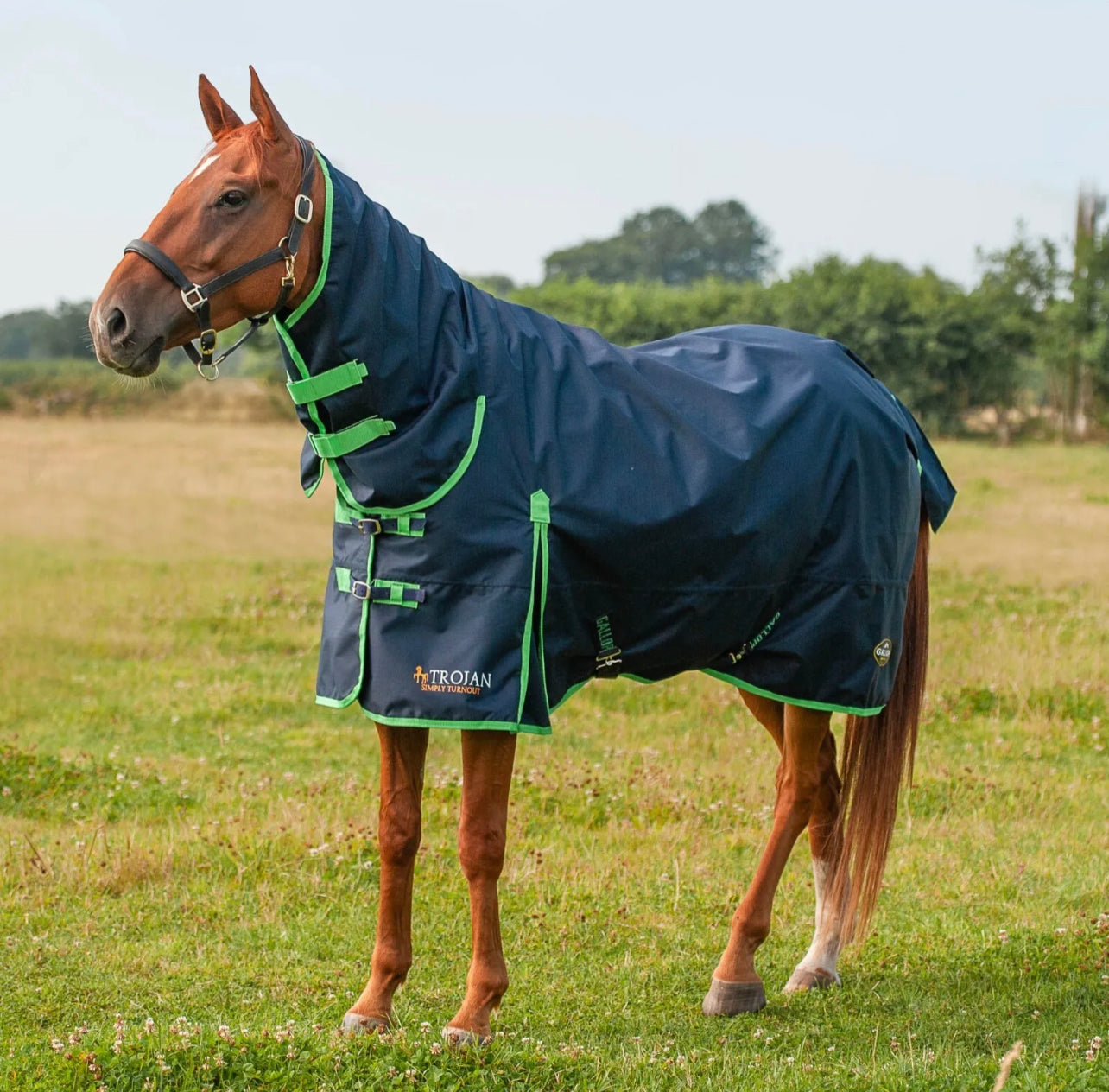Gallop Lightweight No Fill Turnout Rug | Trojan 0g Combo Neck Outdoor Horse Rug 5’6