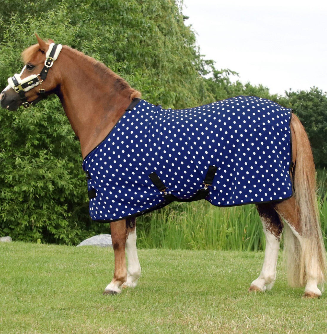 Supreme Products
Dotty Fleece Rug