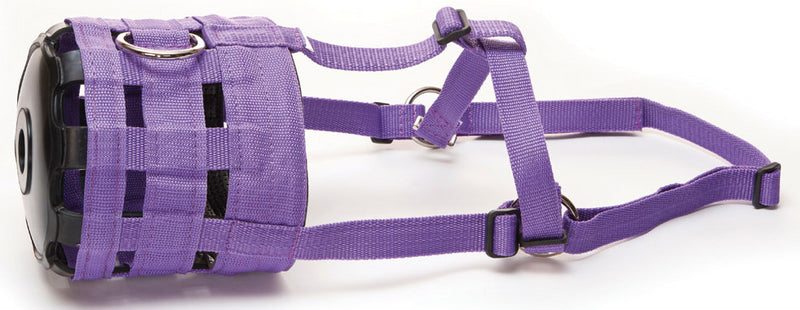 Hy Equestrian XS Grazing Muzzle .