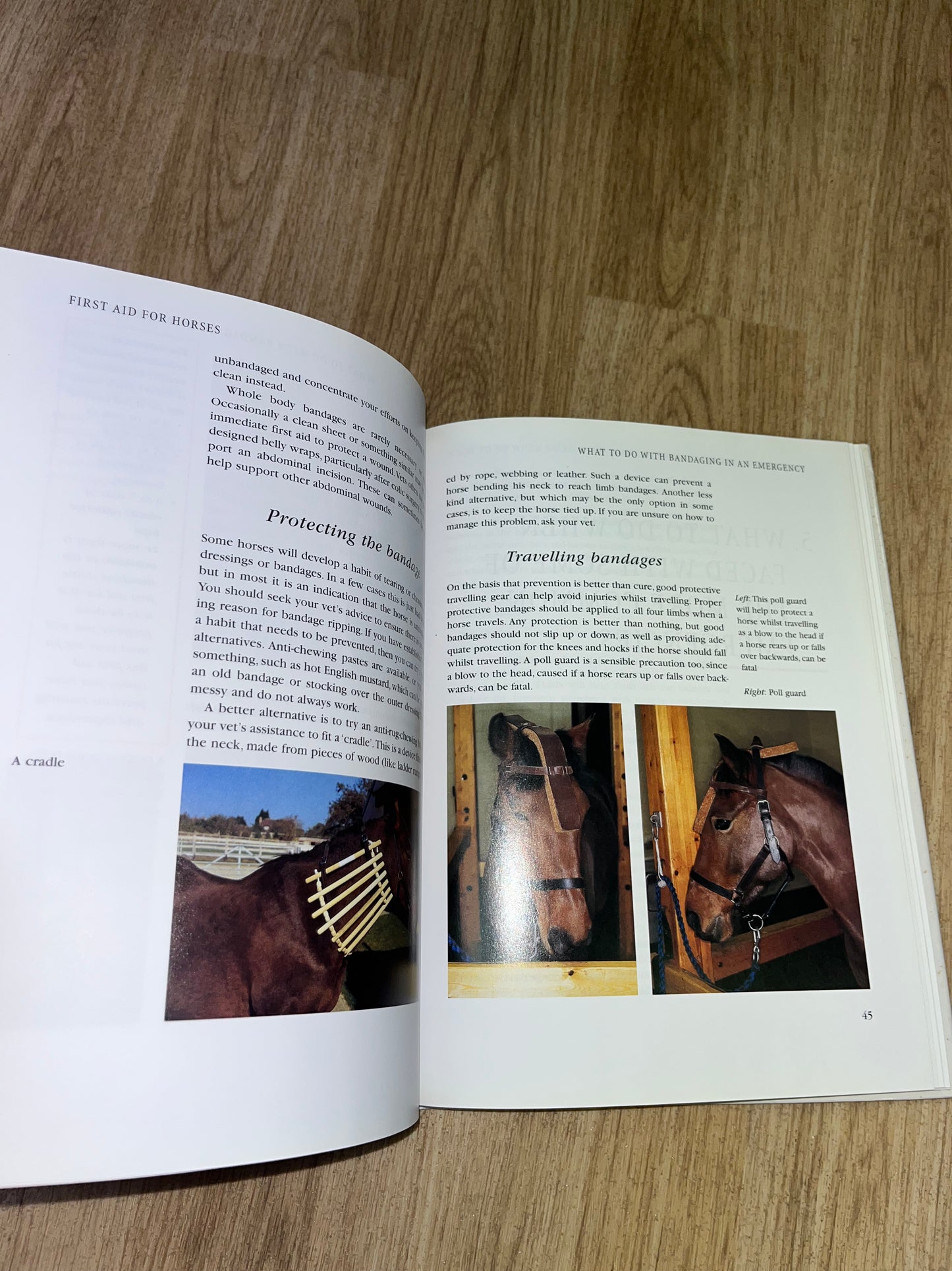 First Aid For Horses By Karen Coumbe