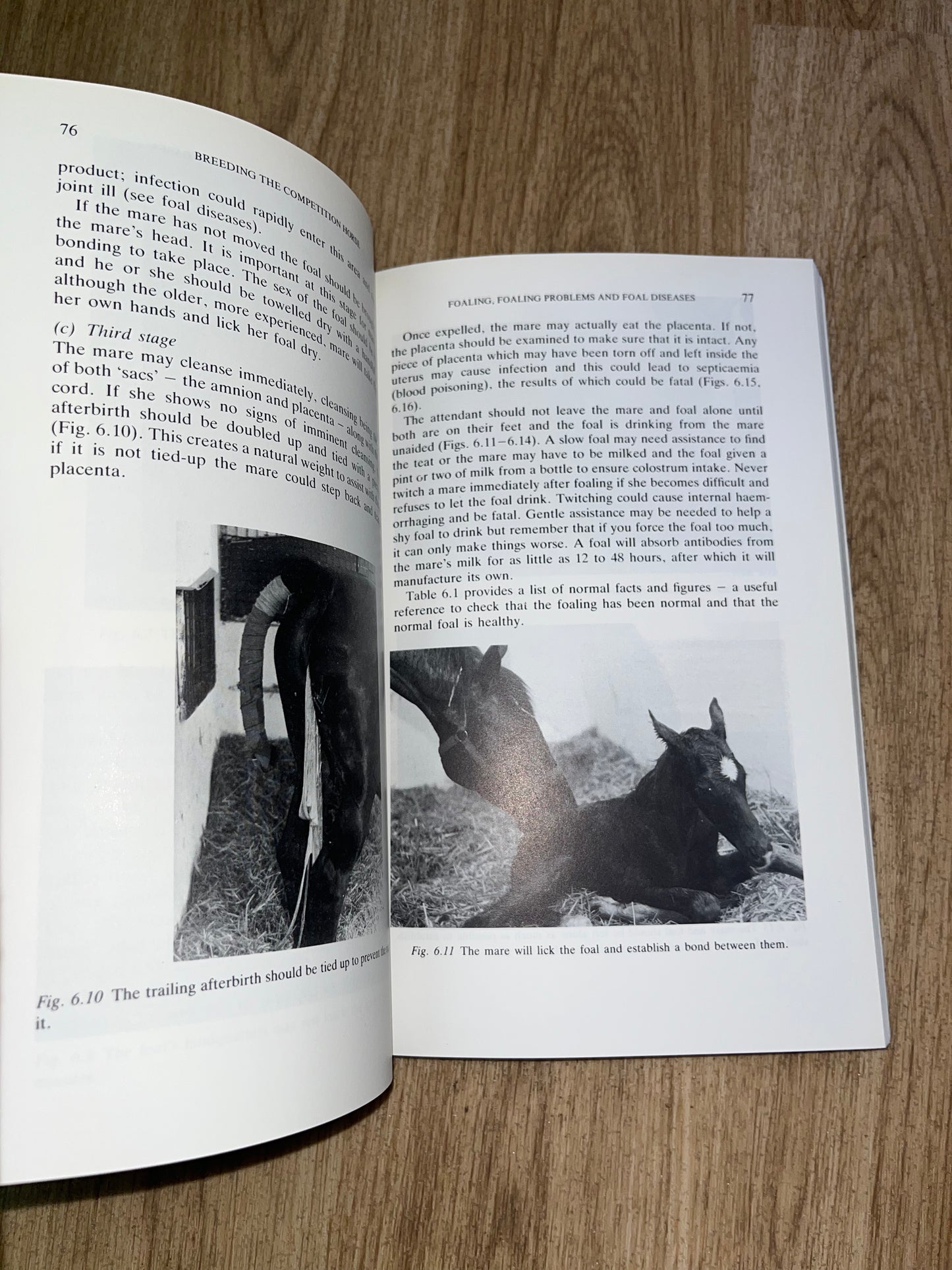 Breeding The Competition Horse