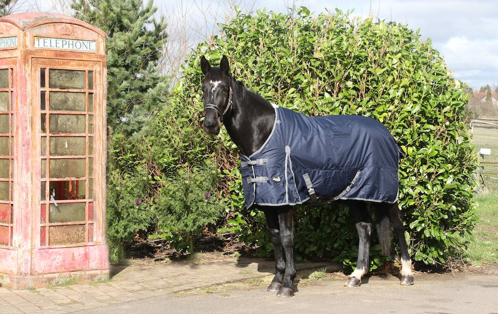 Jump 100gm Turnout Rug