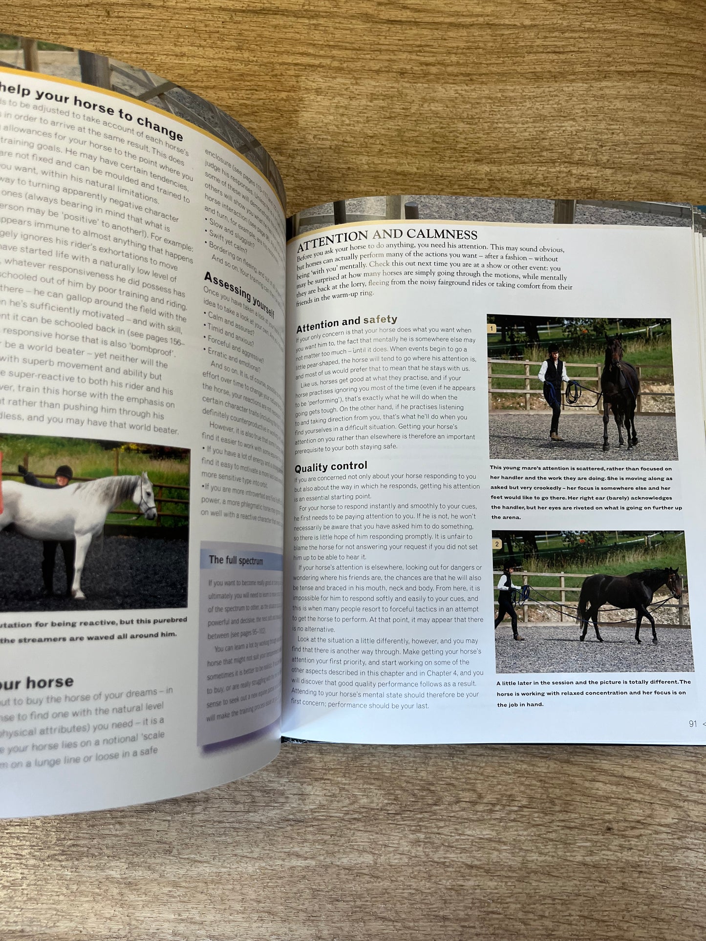 The BHS Book Of The Natural Horse