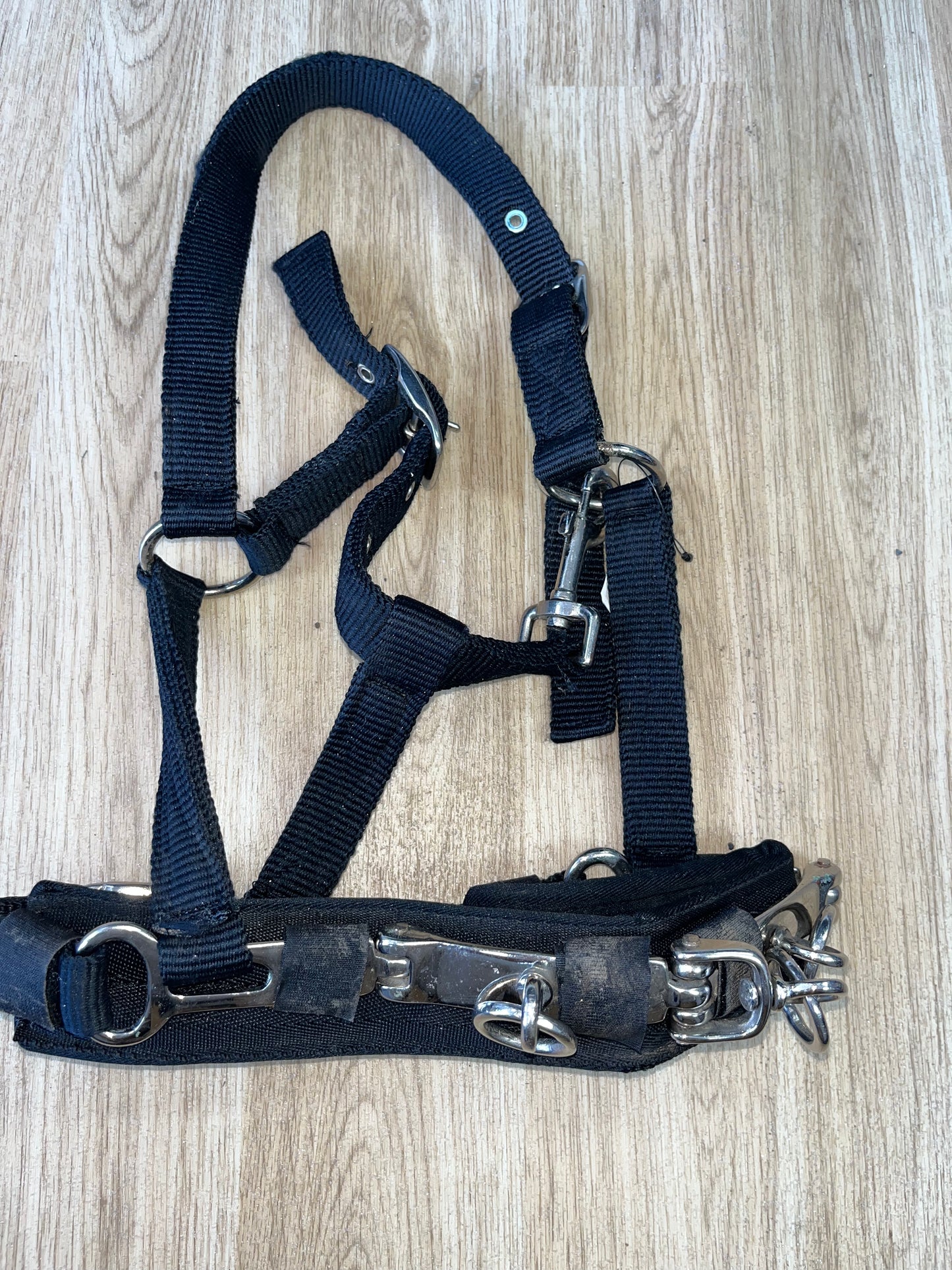 Lunging Cavesson Soft Webbing Cob