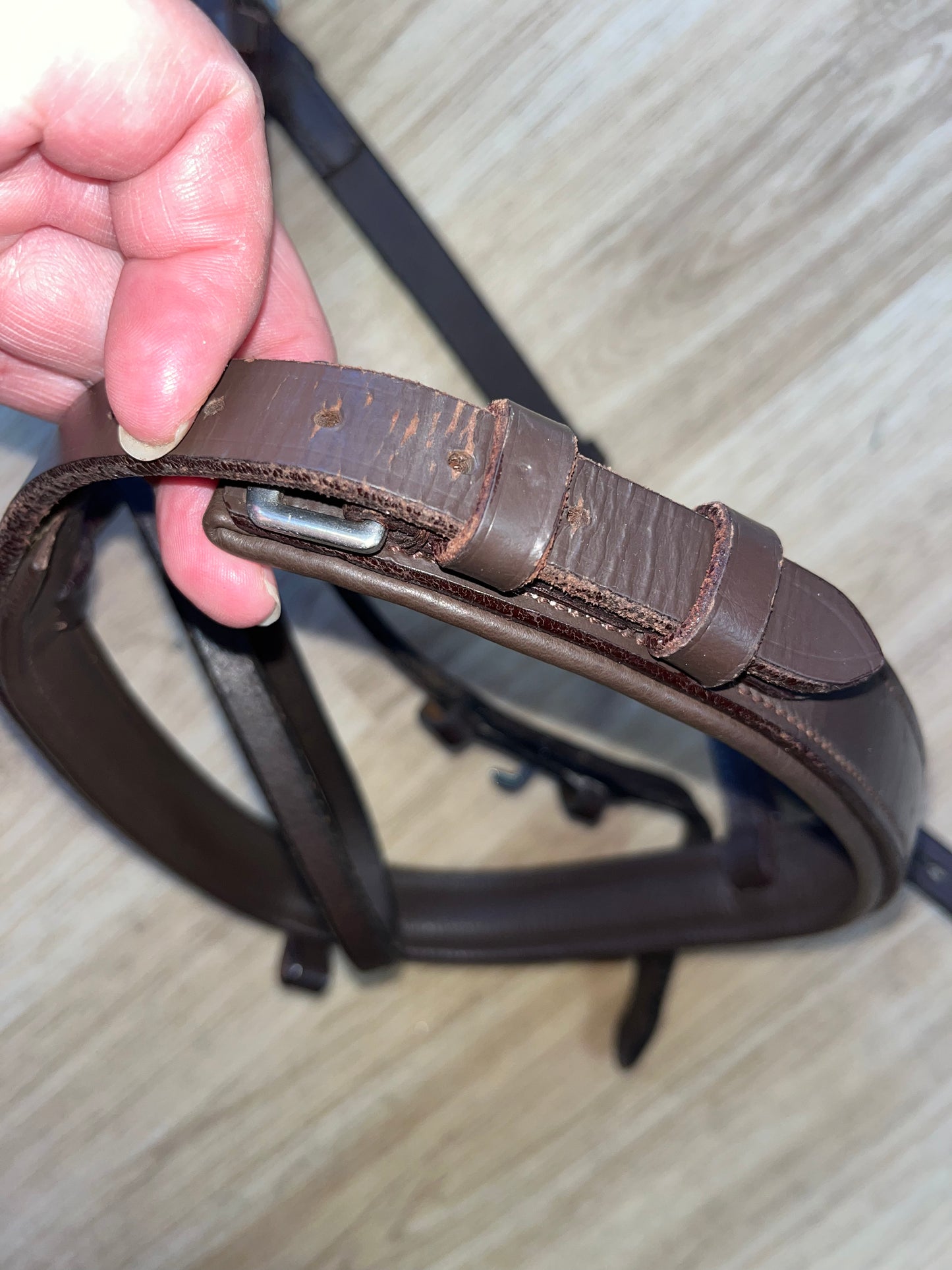 Brown English Leather Flash Bridle – Full Size #42