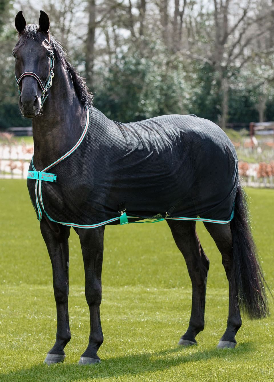 Horseware Amigo Scrim Net Cooler - Black/Teal/Dark Cherry Trim - 5’6
