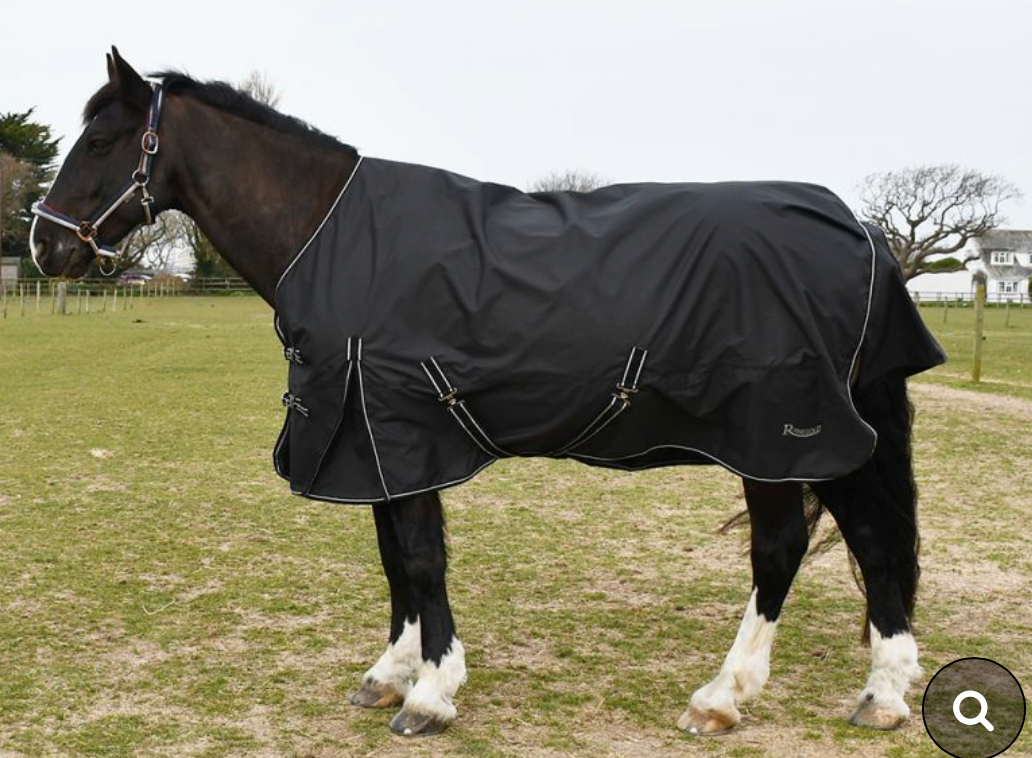 Rhinegold Capri 100gsm Turnout Rug