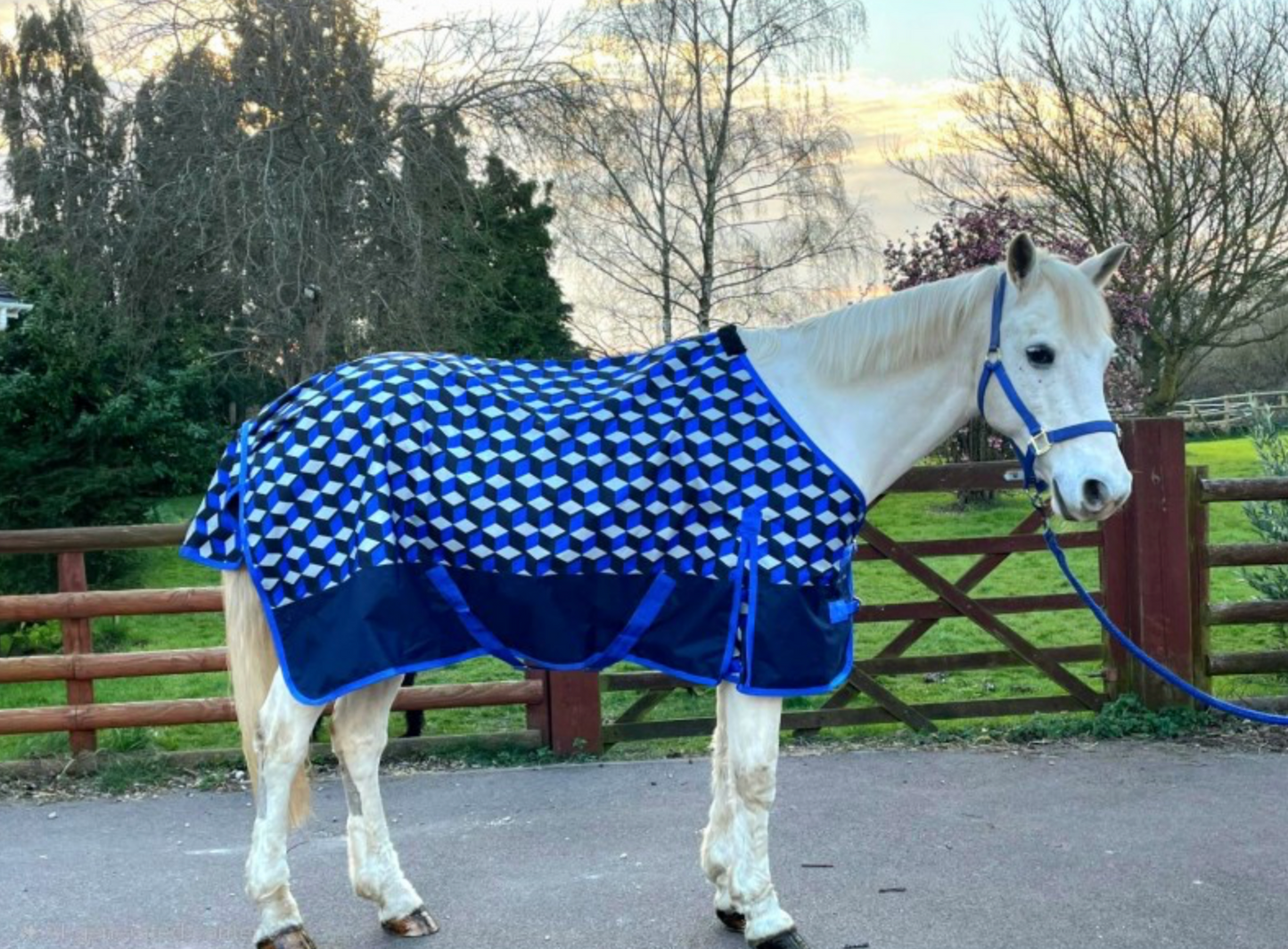 Sheldon No Fill Turnout Rug