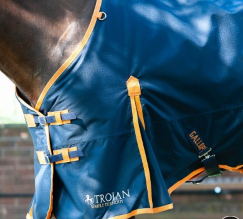 Gallop TROJAN 100g Turnout Rug