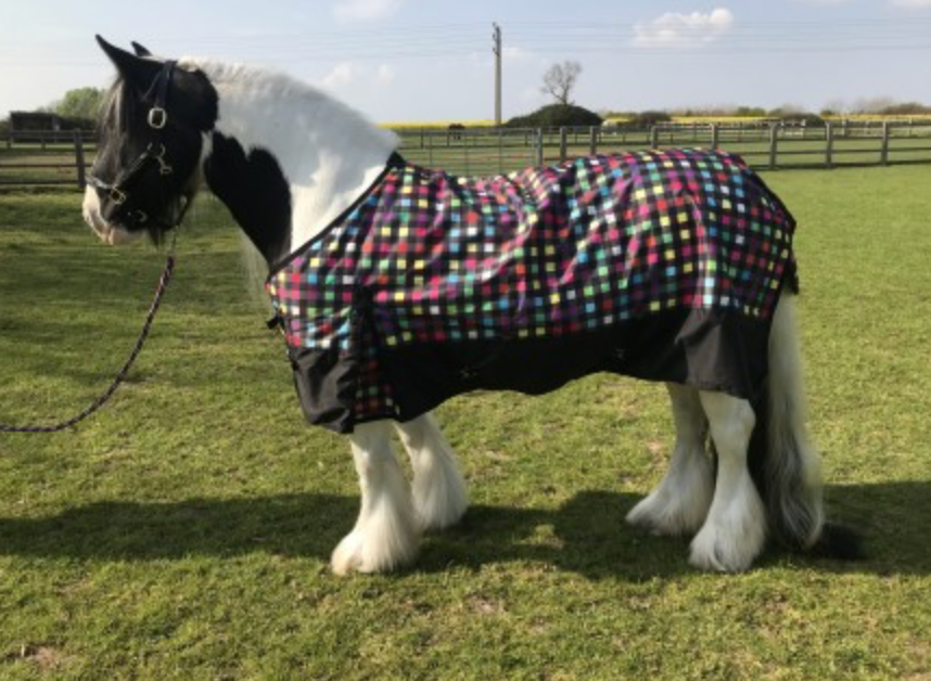 Sheldon Spectrum 50g Summer Turnout Rug