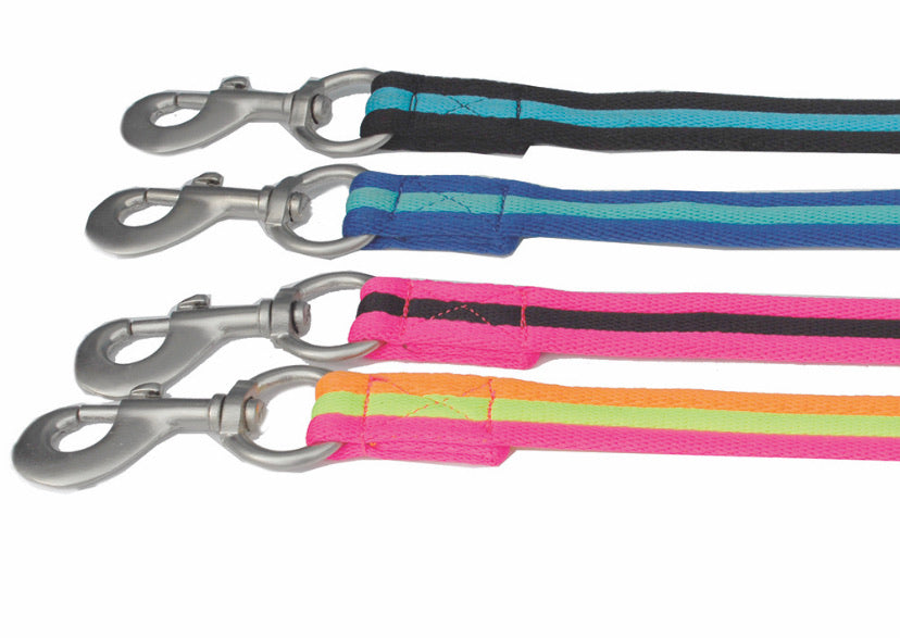 Carnival Colours Lunge Line .