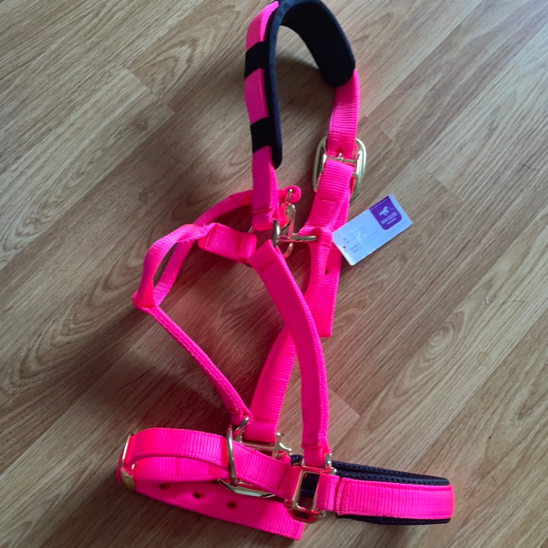 Km Elite Deluxe Headcollar - Various Colours / Sizes