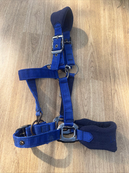 Lemieux Benneton Blue Headcollar  | Size Pony
