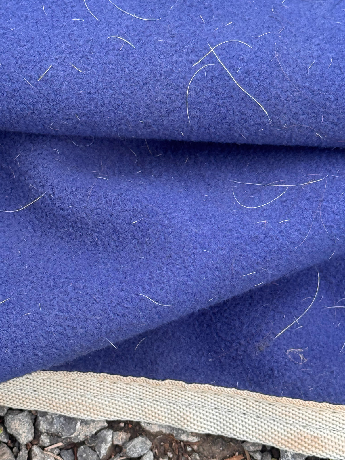 Masta Blue Size 6’3 Show Rug Binding