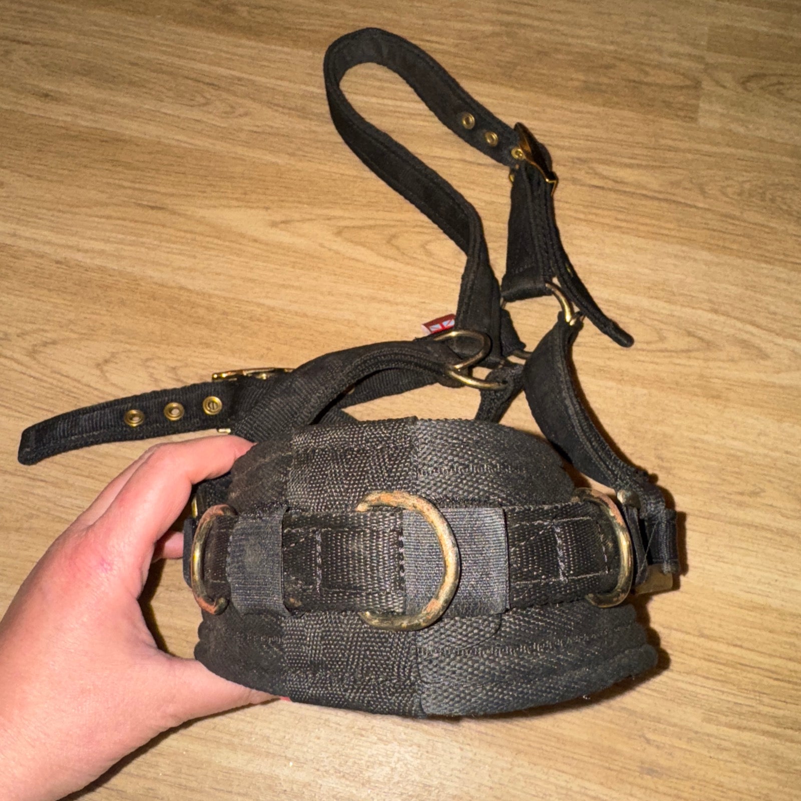 GENUINE Equiami Cob Size Lunging Cavason - FREE Postage