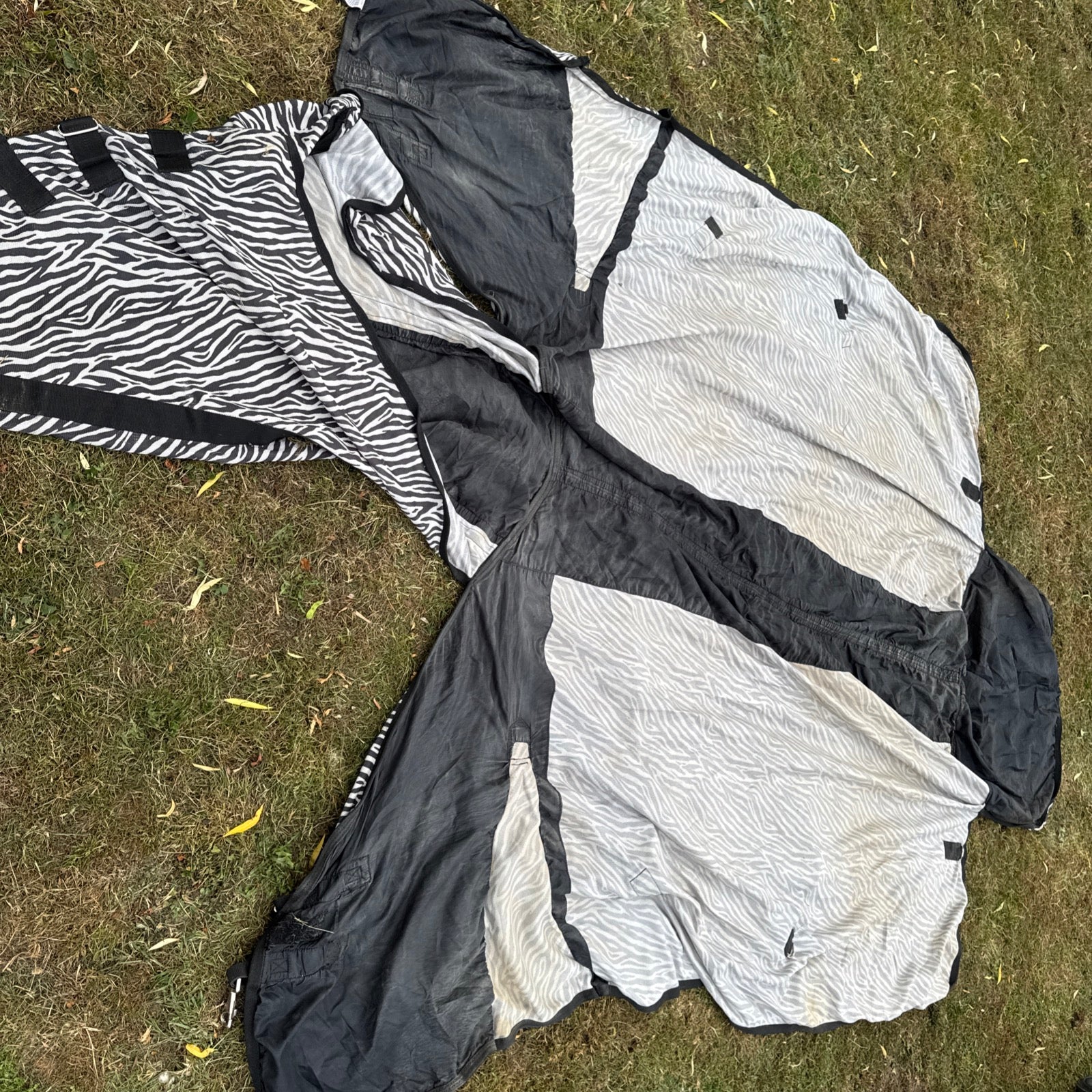 Big Horse Shop Epic 7’3 Broad Fit Fly Rug - Heavy Horse