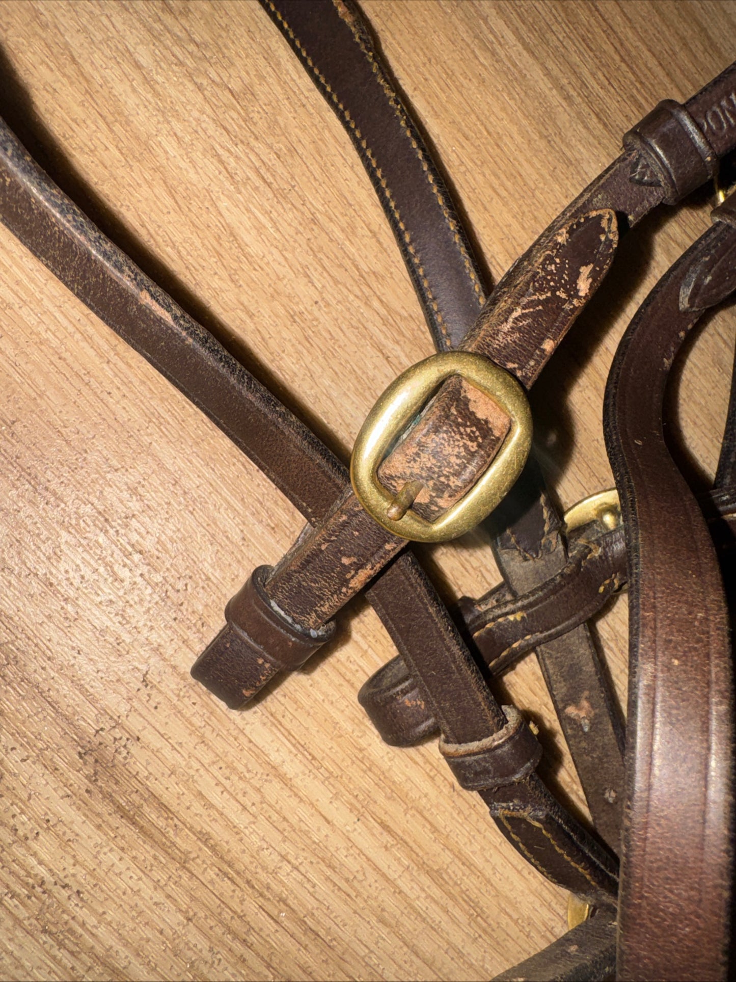 Heritage English Leather Inhand Bridle – Pony Size Havana | Showing & In-Hand Bridle
 #91