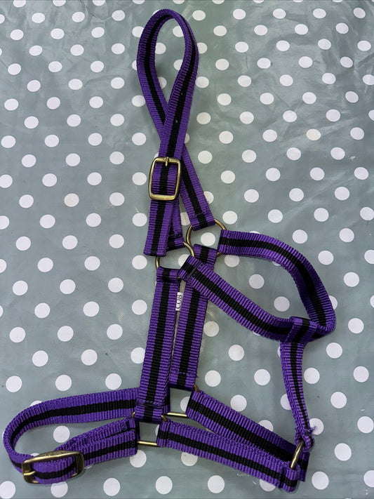 Purple New Cob Headcollar