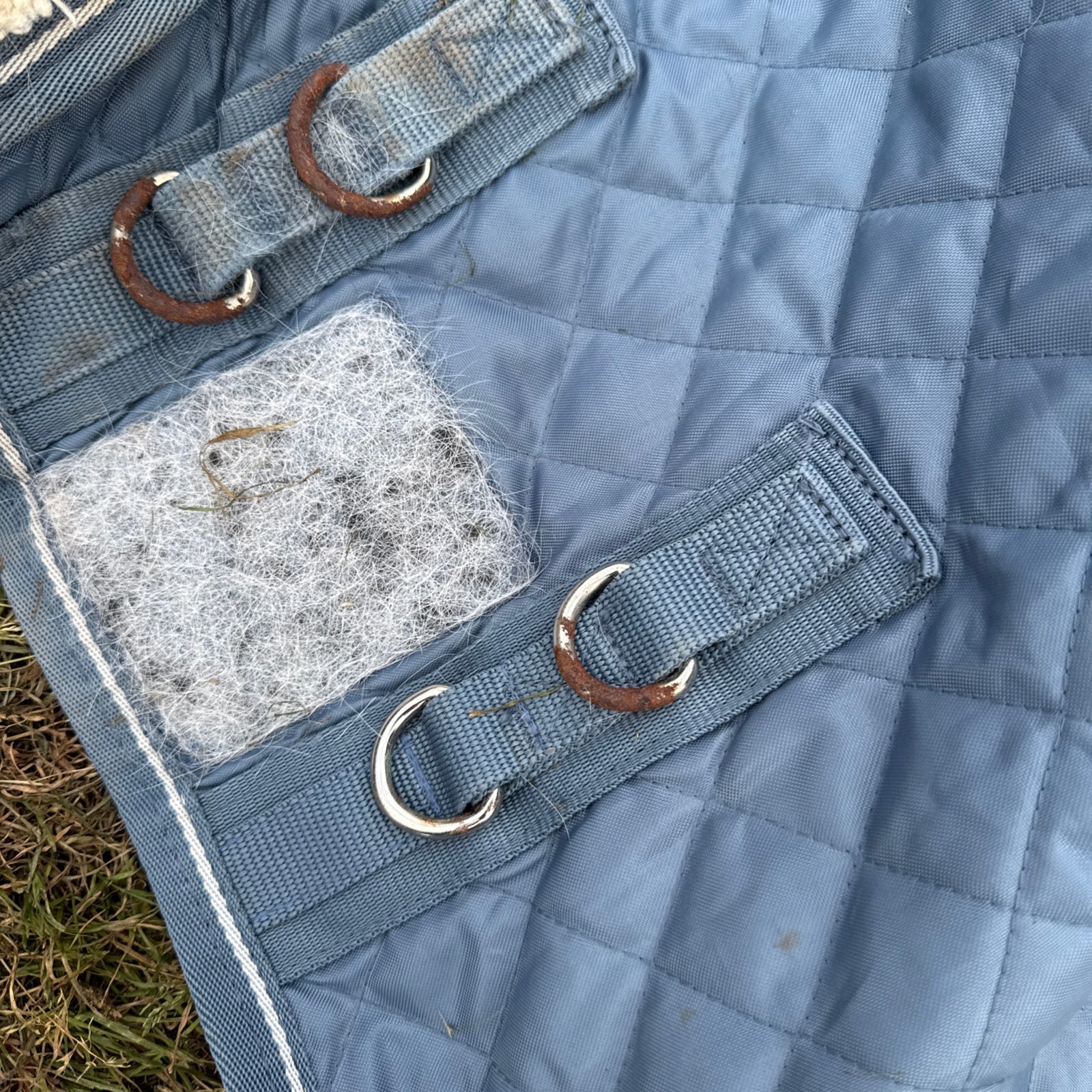 Big Horse Shop Epic 7’3 Broad Fit 100gm Stable Rug
